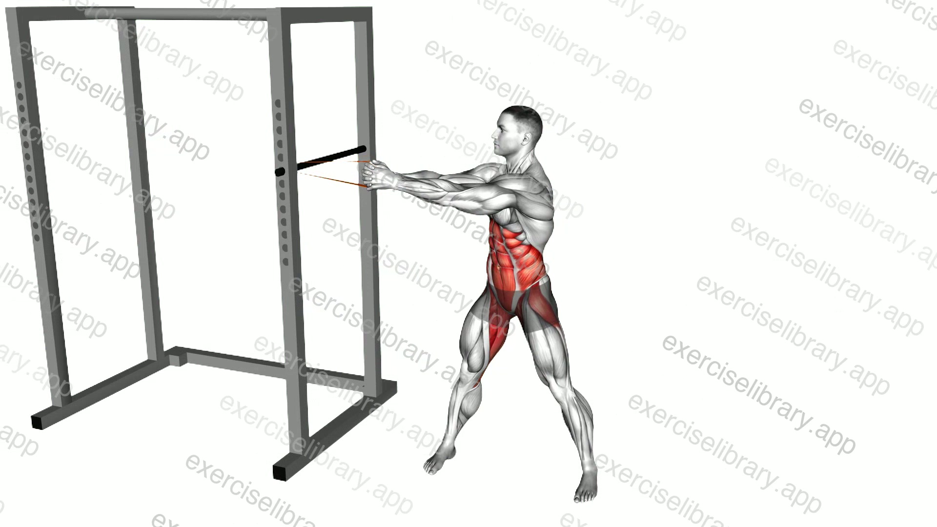 Resistance Band Standing Wood Chopper demonstration
