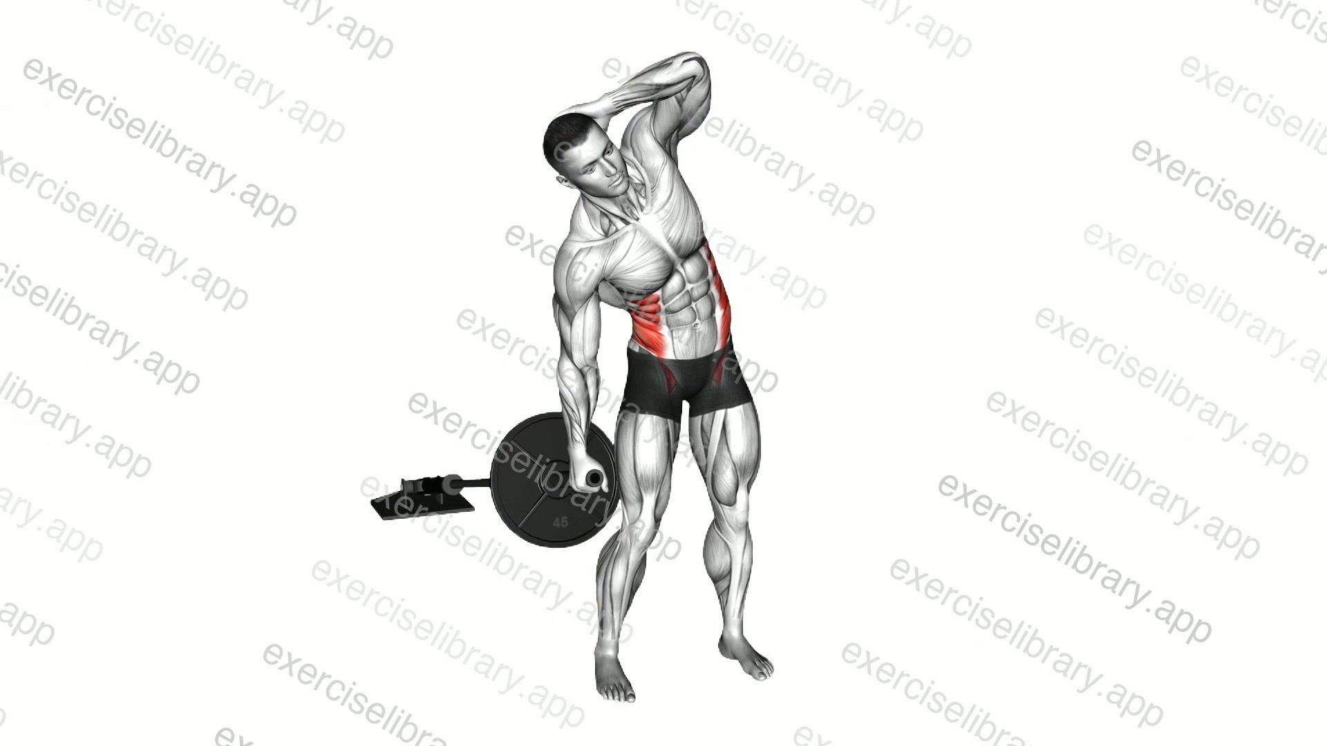 Landmine Standing Side Bend demonstration