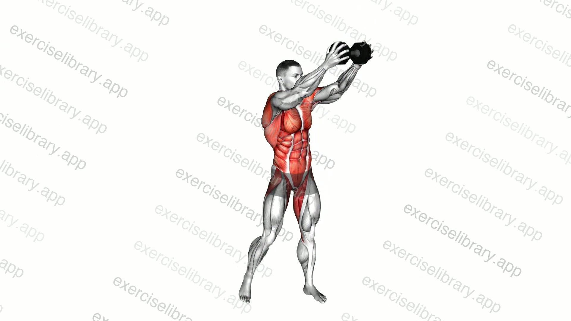 Dumbbell Wood Chop demonstration