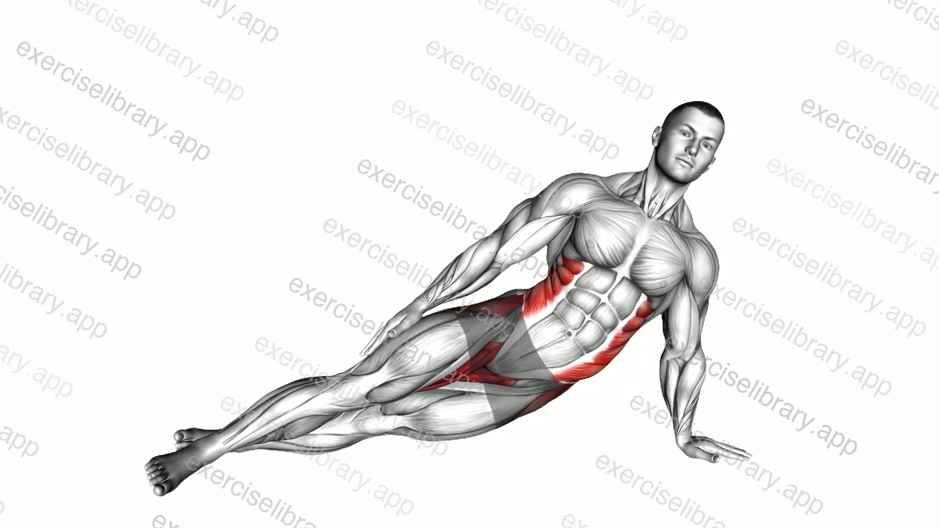 Straight Arm Side Plank demonstration