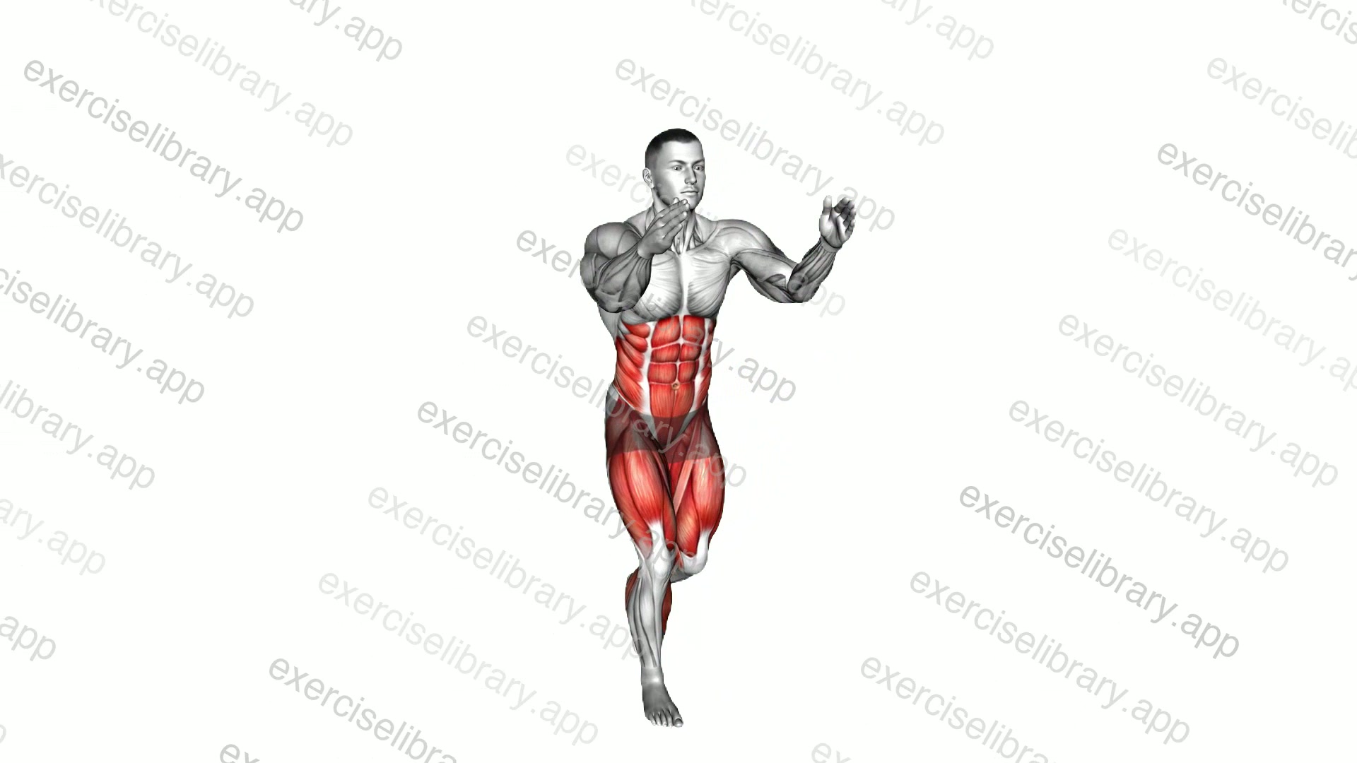 Stepback Opposite Crunch demonstration