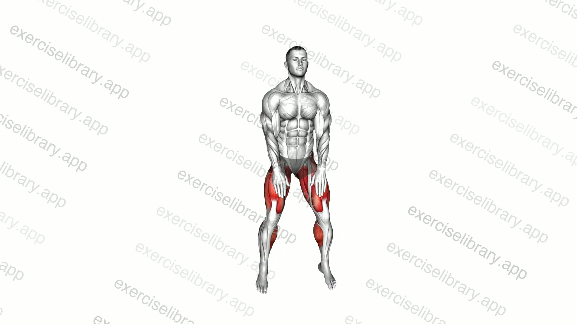 Touchdown Heel Tap Jump demonstration