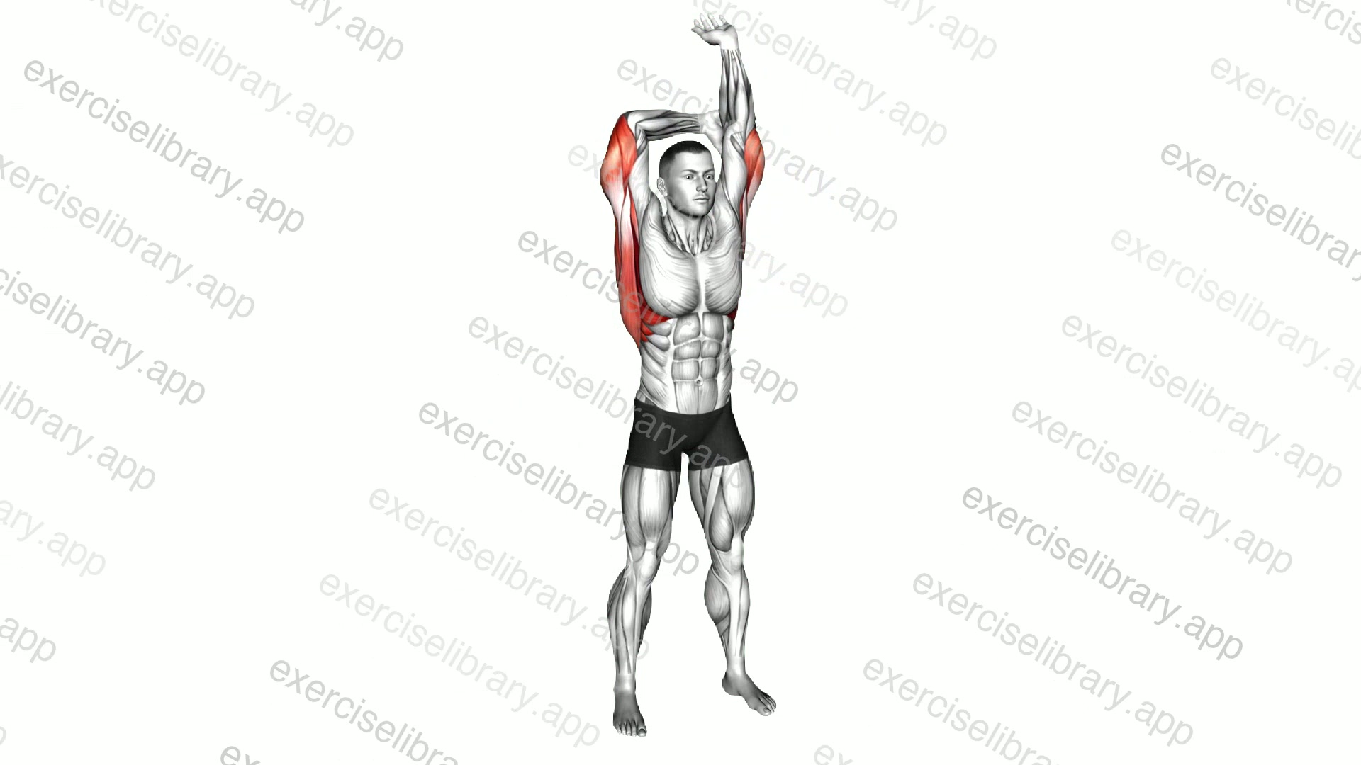 Standing Lateral Stretch demonstration
