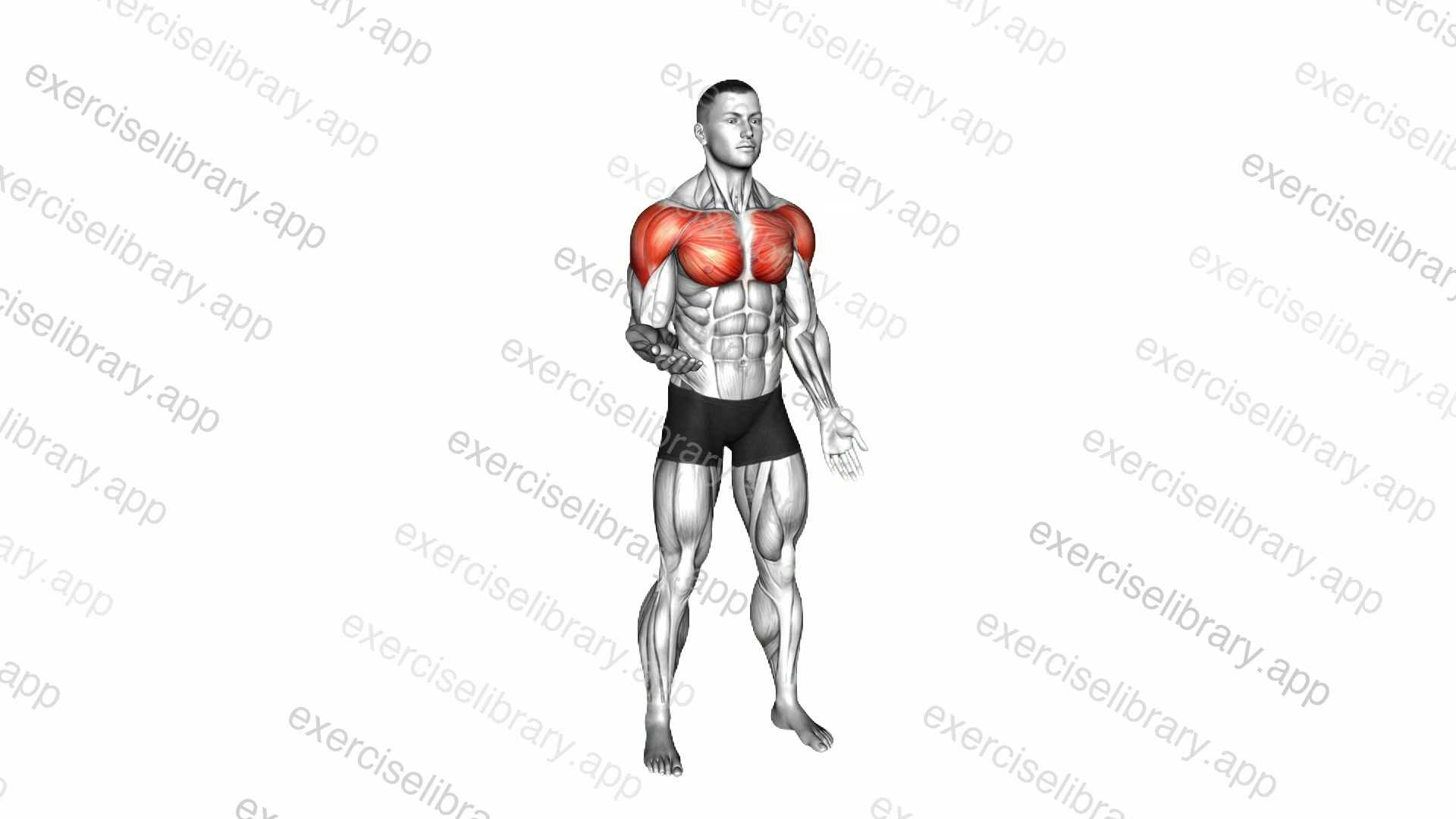 Standing Shoulder Medial and Lateral Rotation demonstration