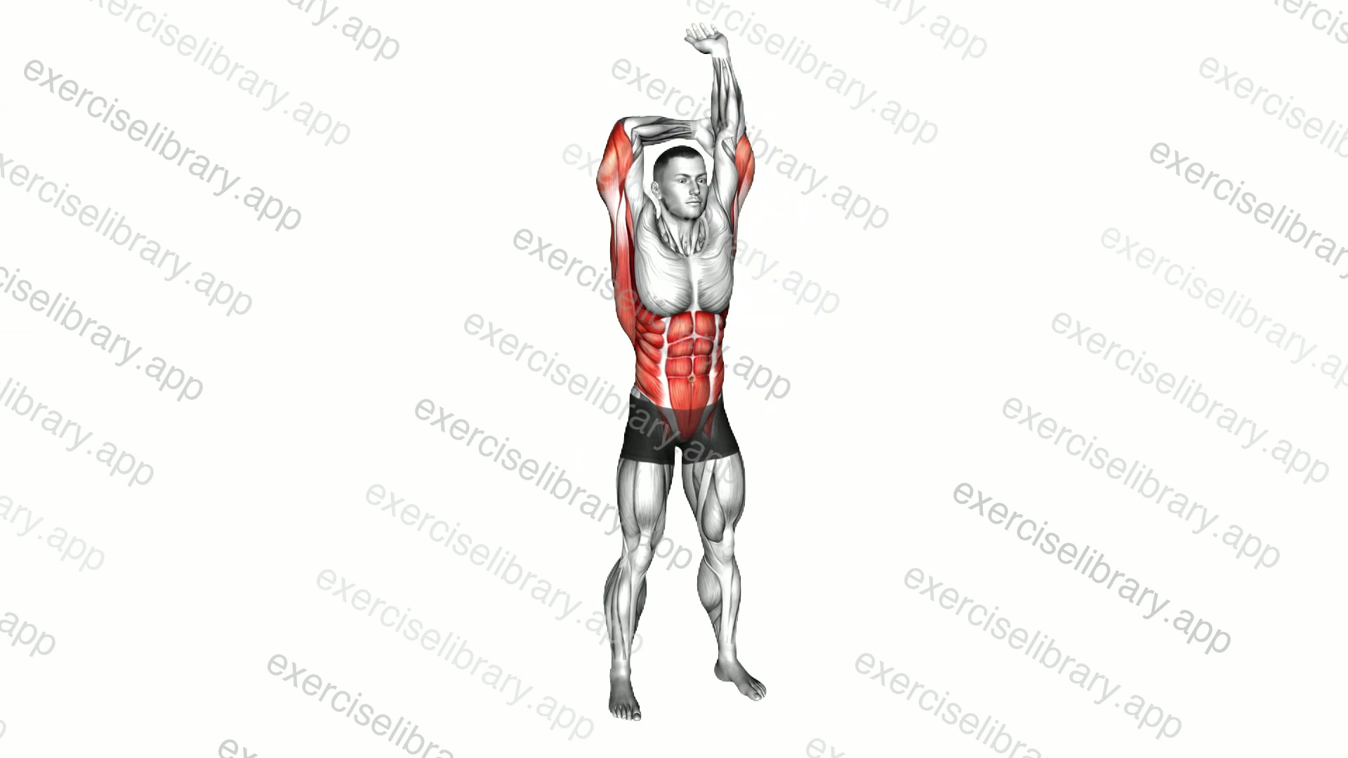 Standing Side Circle Stretch demonstration