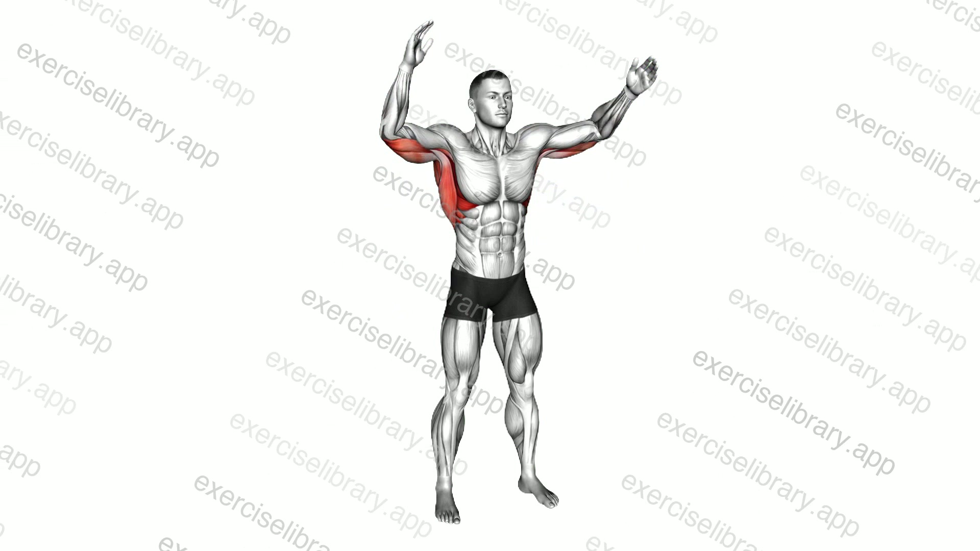 Standing Shoulder Inferior Capsule Stretch demonstration