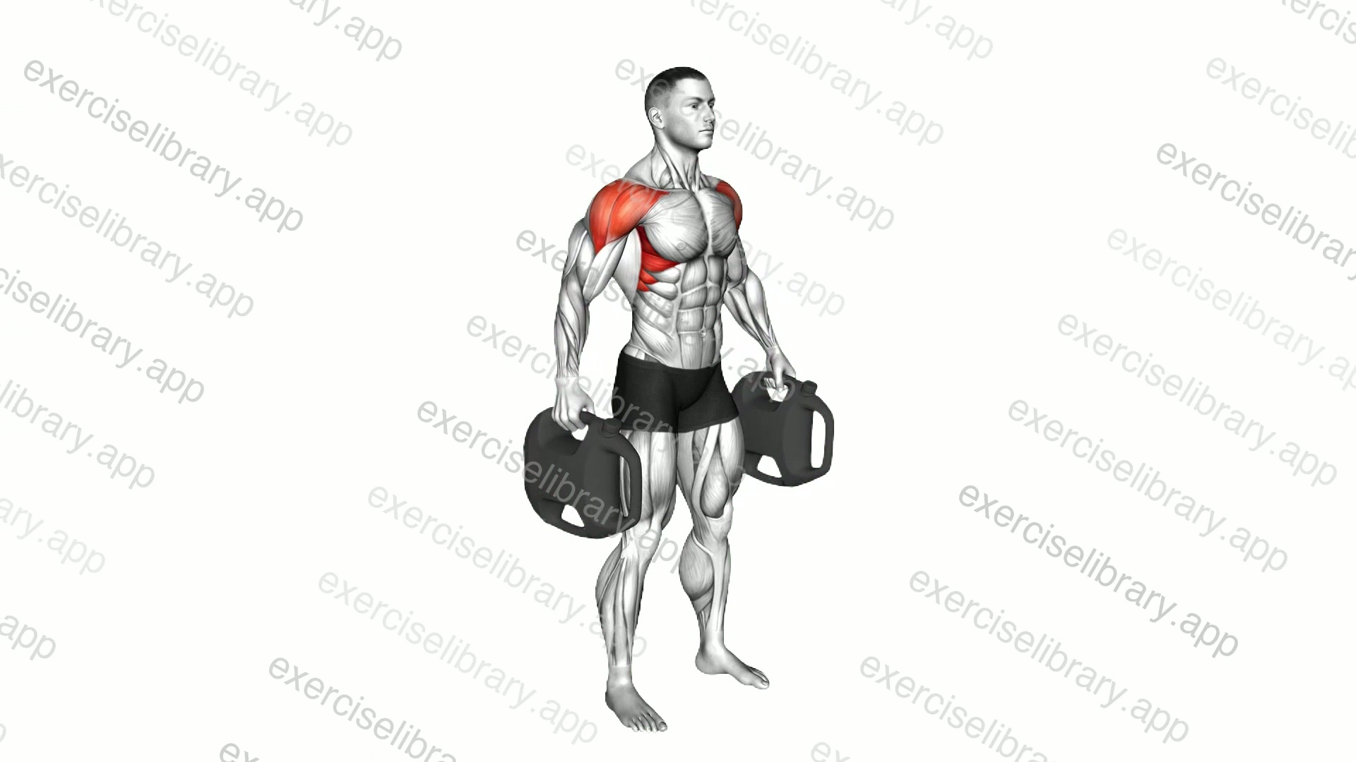 Bottle Weighted Lateral Raise demonstration