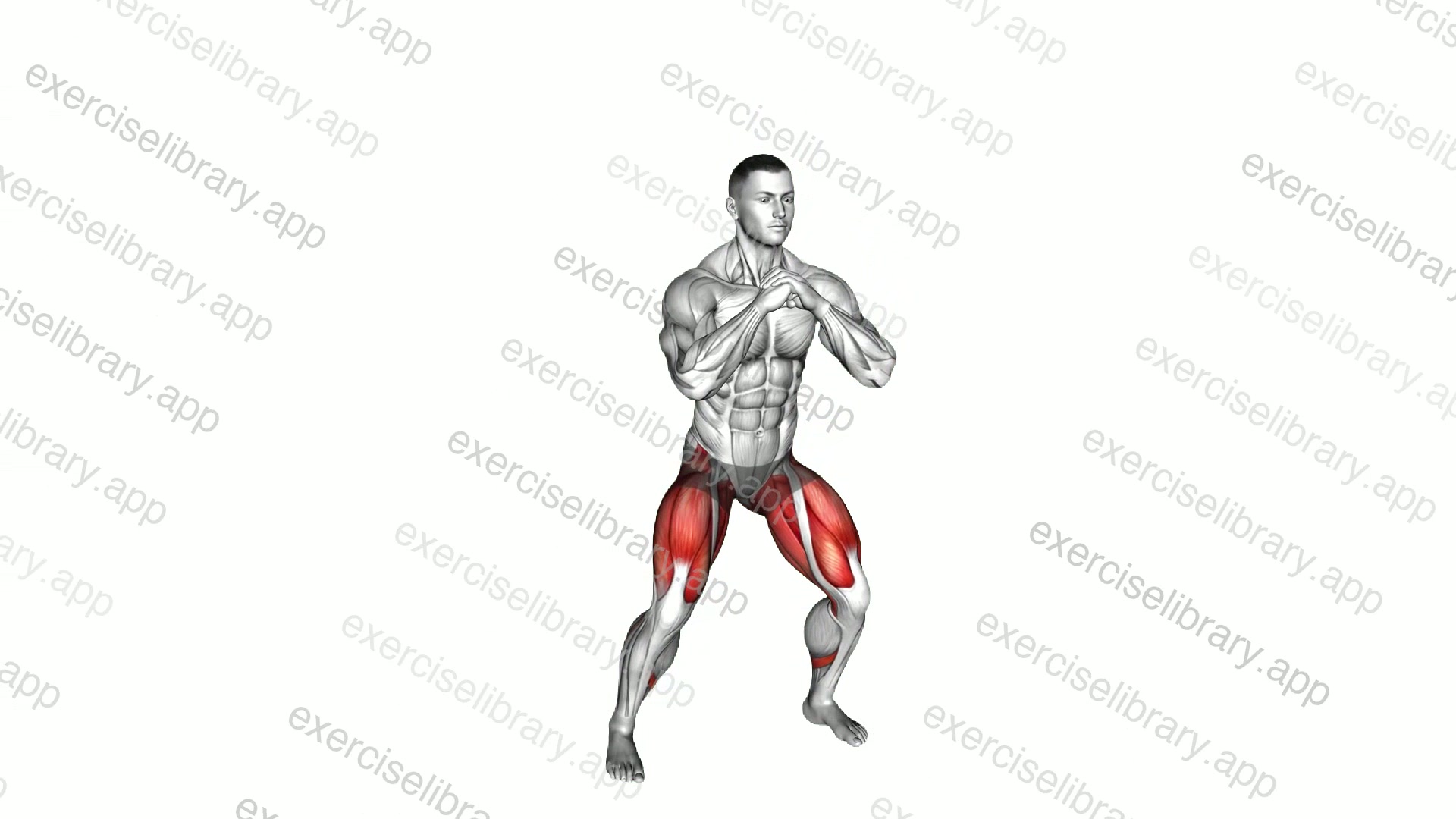 Side to Side Squat demonstration