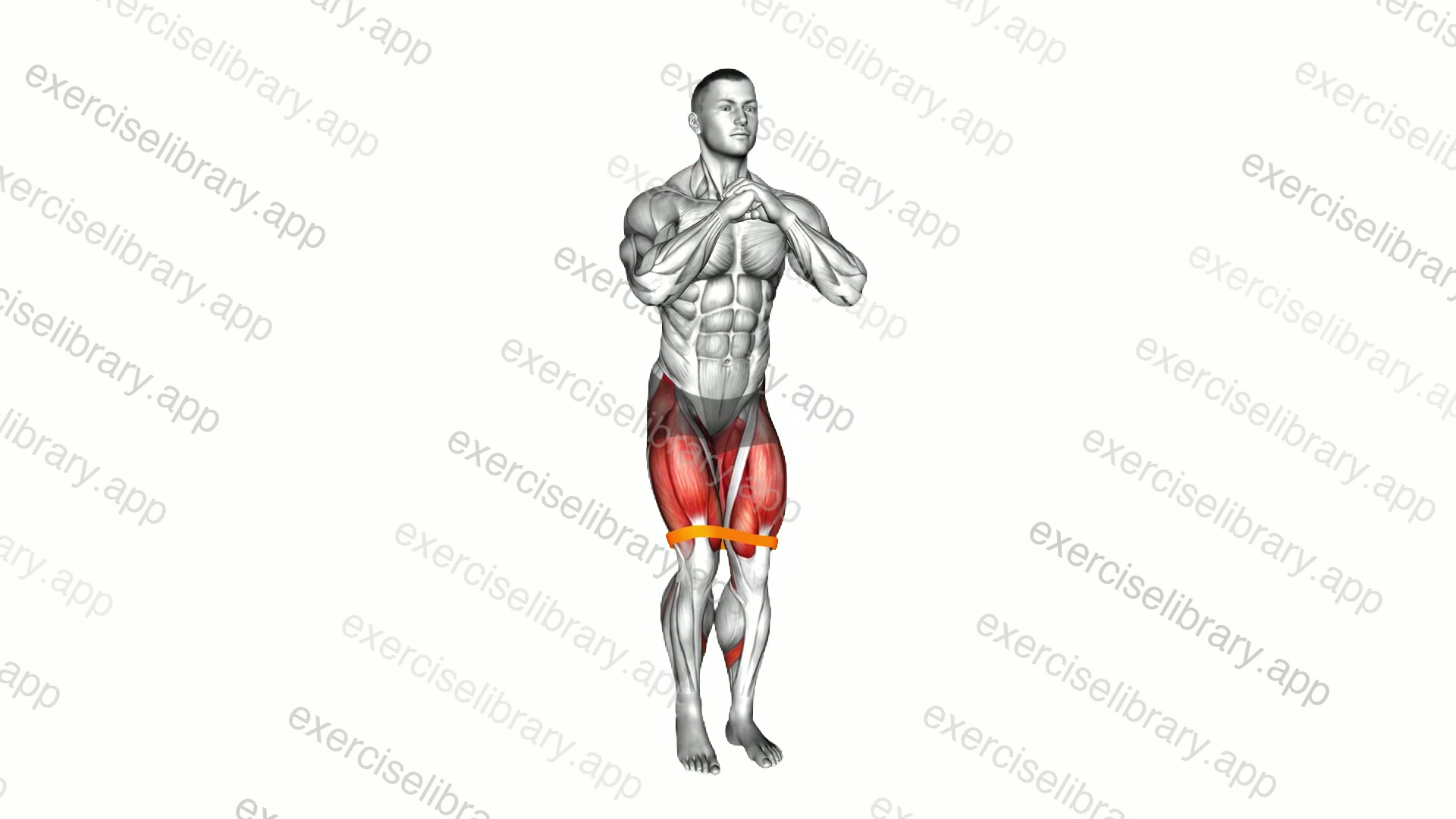 Resistance Band Squat Step Out demonstration