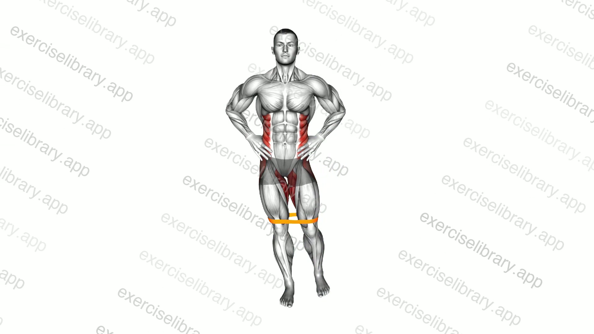 Resistance Band Standing Balance Hip Abduction demonstration