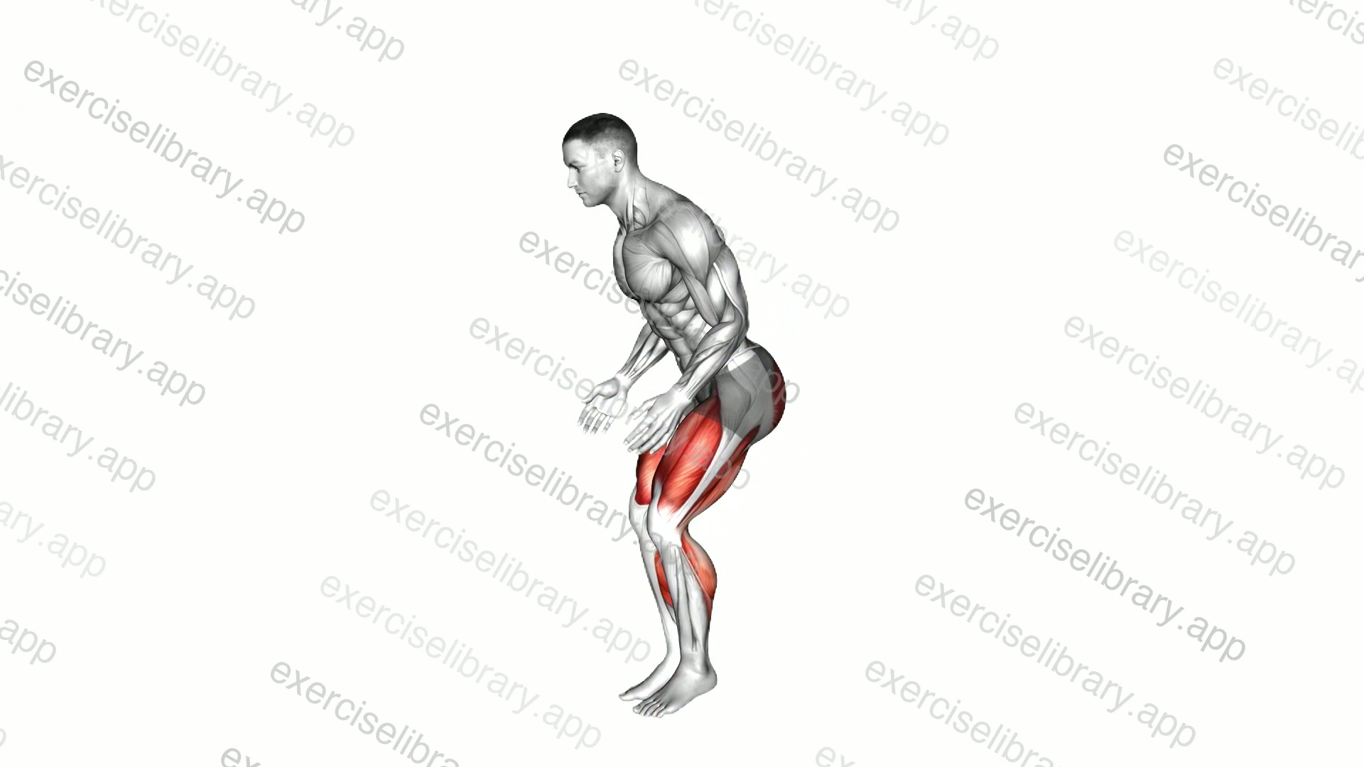 Forward Backward Quick Step demonstration