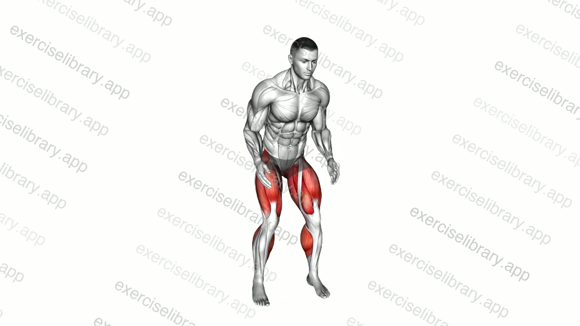 Side to Side Quick Step demonstration
