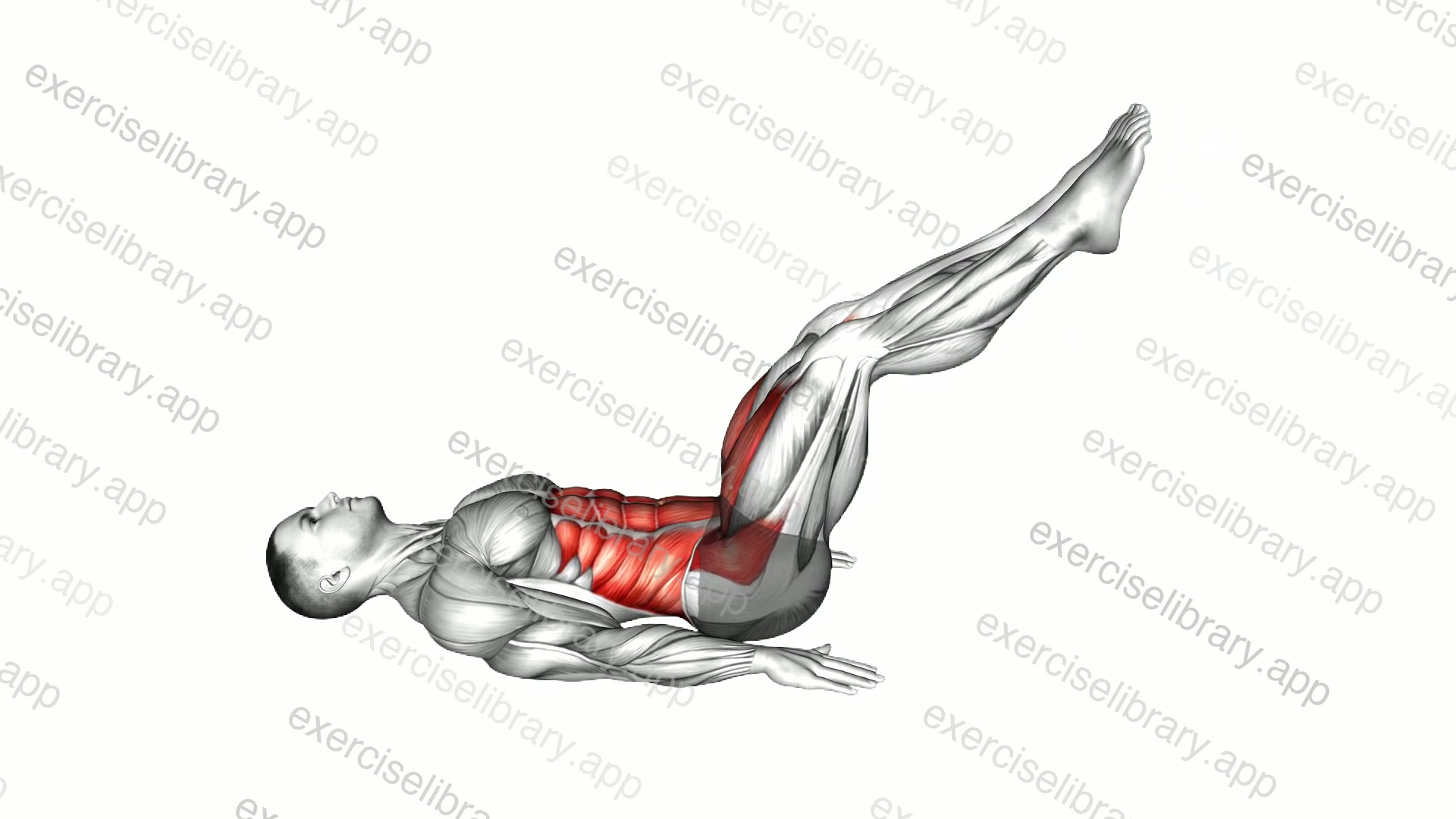 Lying Hip Knee Raise demonstration