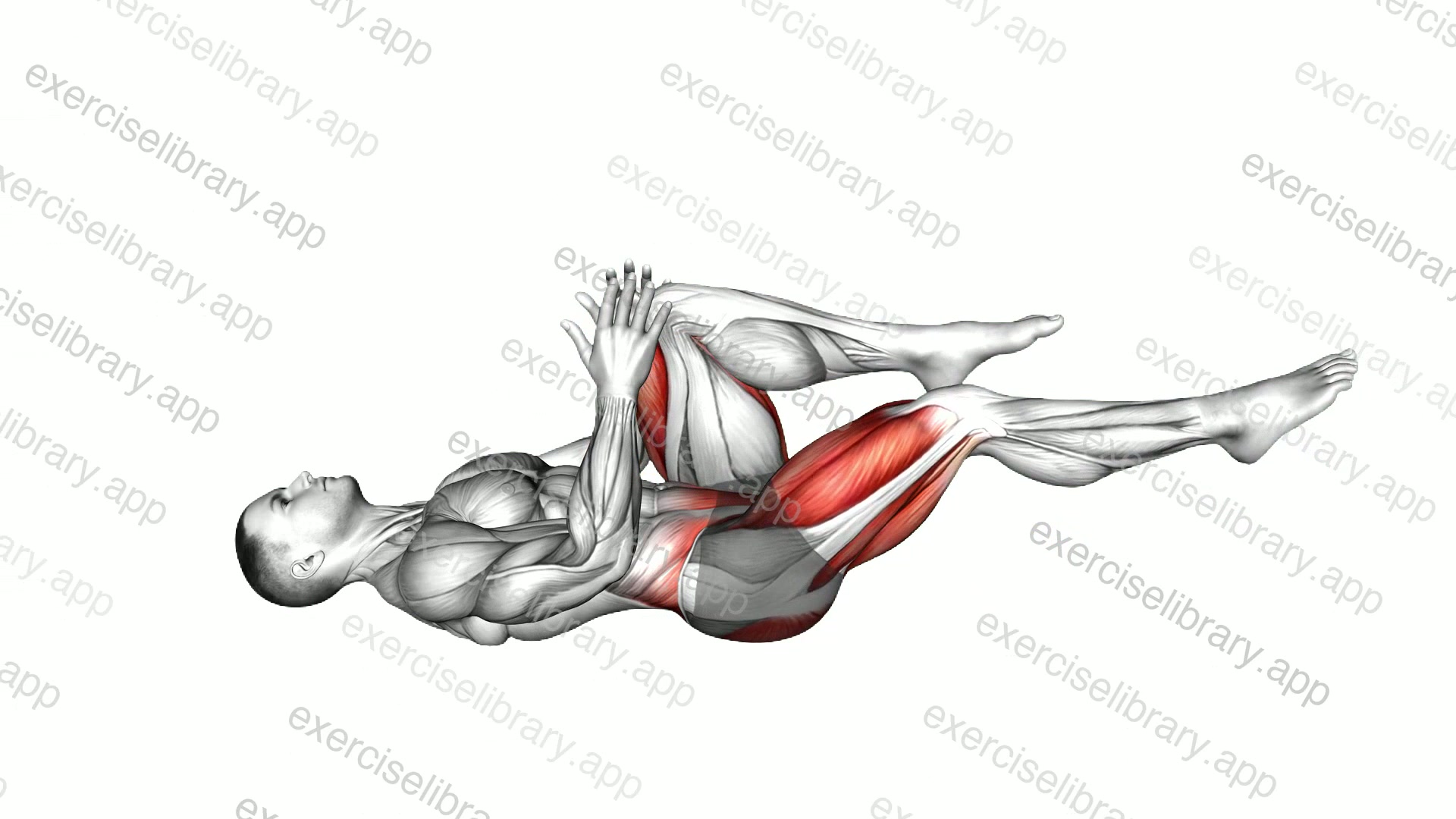 Lying Alternate Knee Tuck demonstration