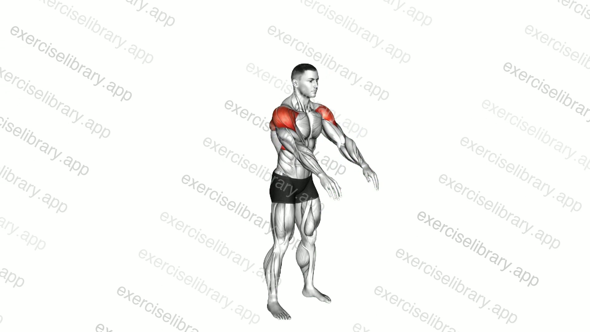 Standing Y-up demonstration