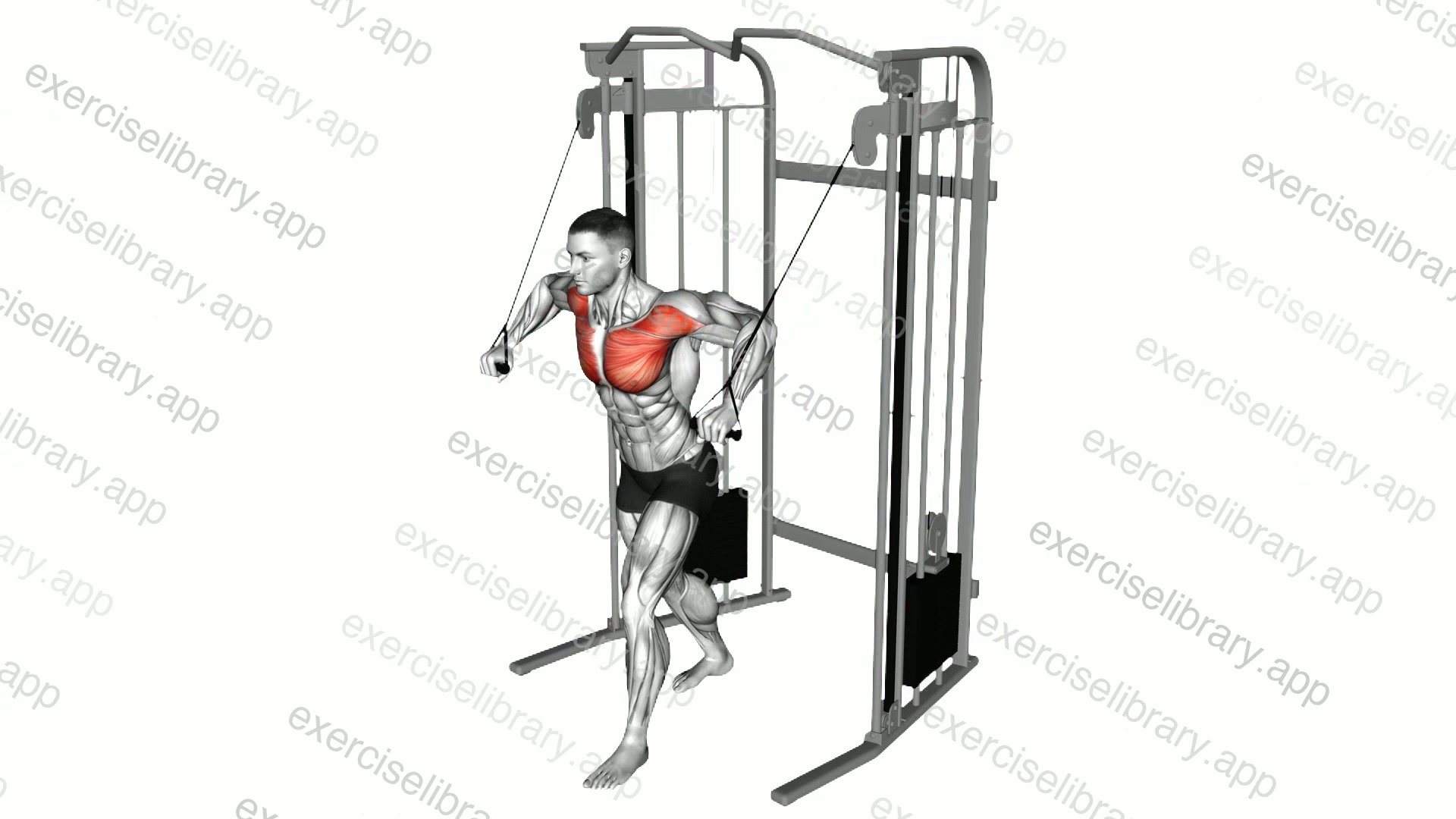 Cable Standing Crossover demonstration