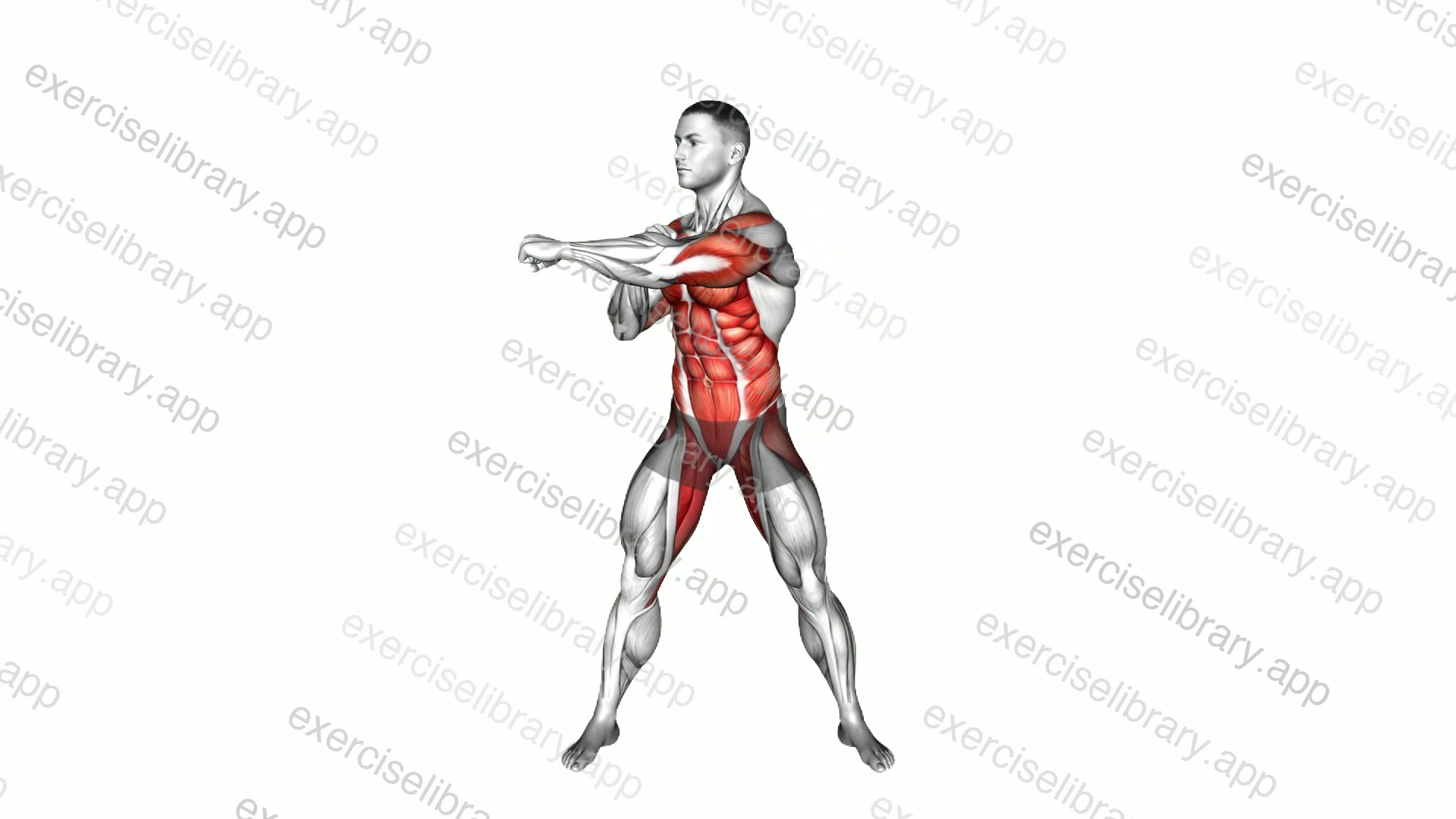 Side to Side Punches demonstration