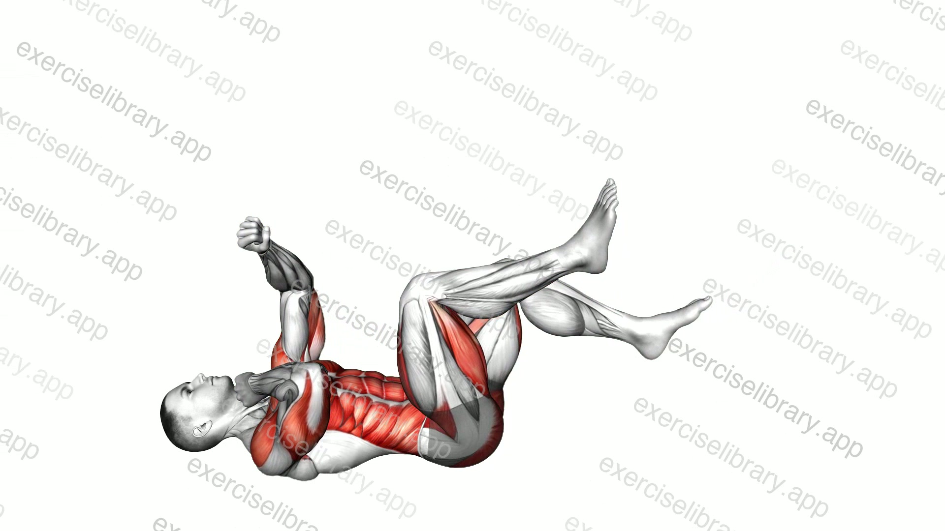 Lying Cycle Punches demonstration