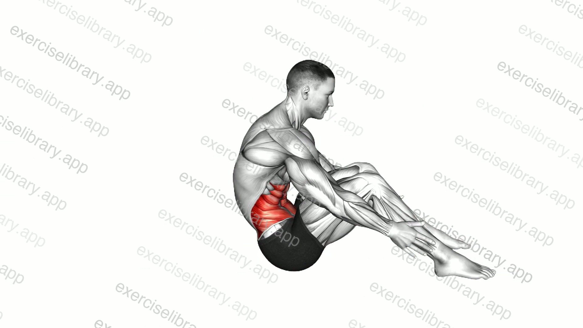 Fast Sit-up Slow Down demonstration