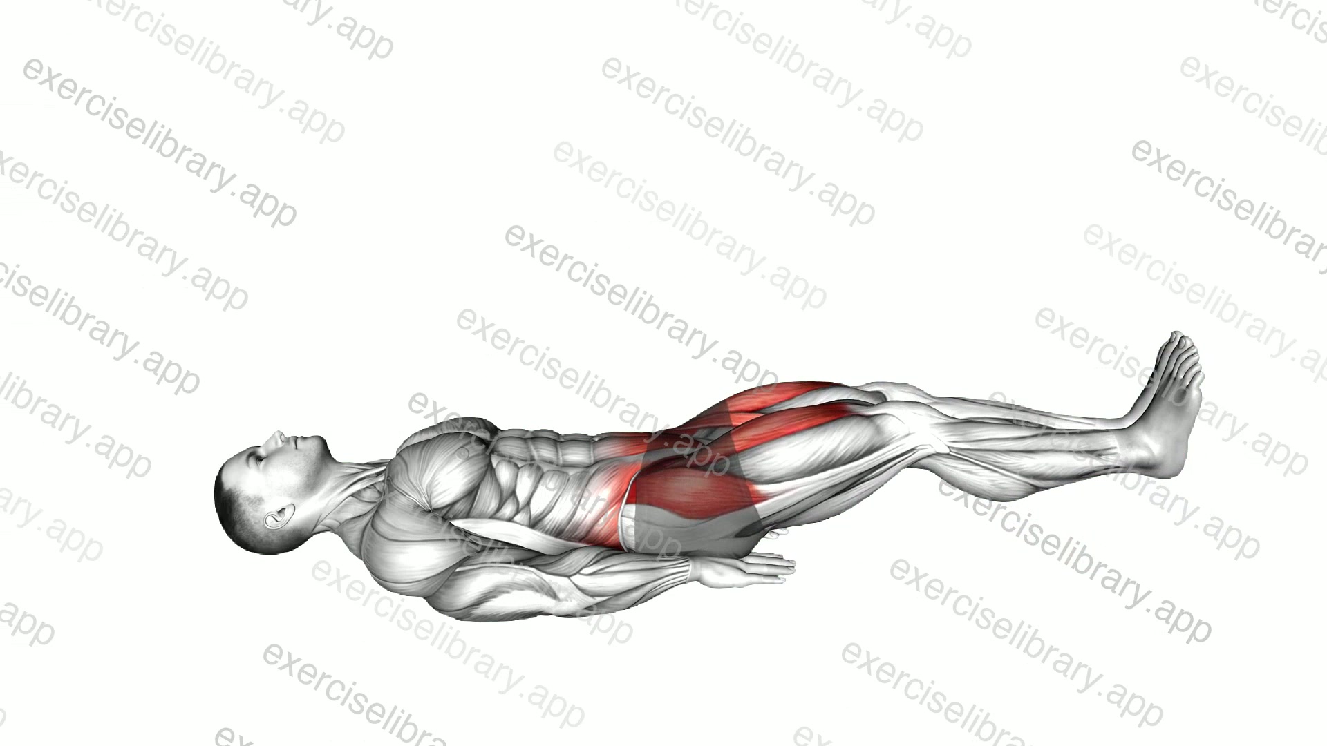 Lying Knee Raise demonstration