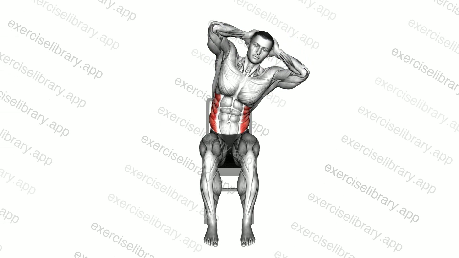 Sitting Side Bend on a chair demonstration