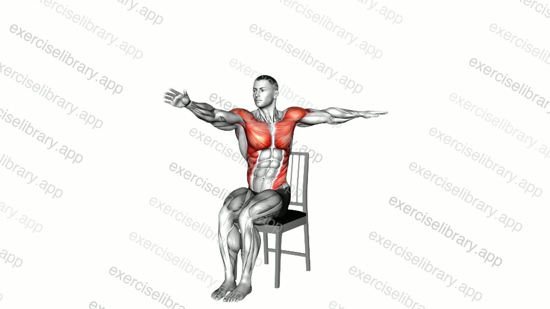 Sitting Swimmer on a Chair demonstration