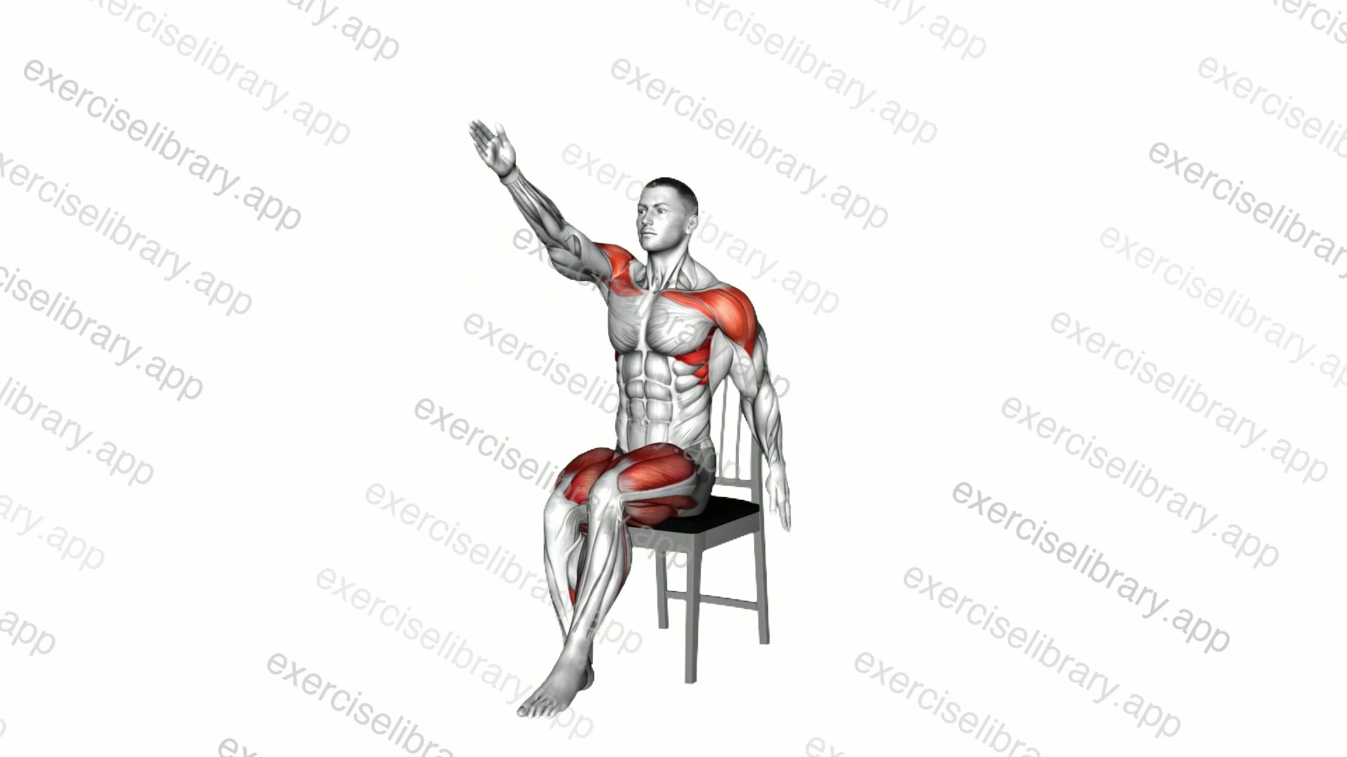 Sitting StepOut Hands-up on a Chair demonstration