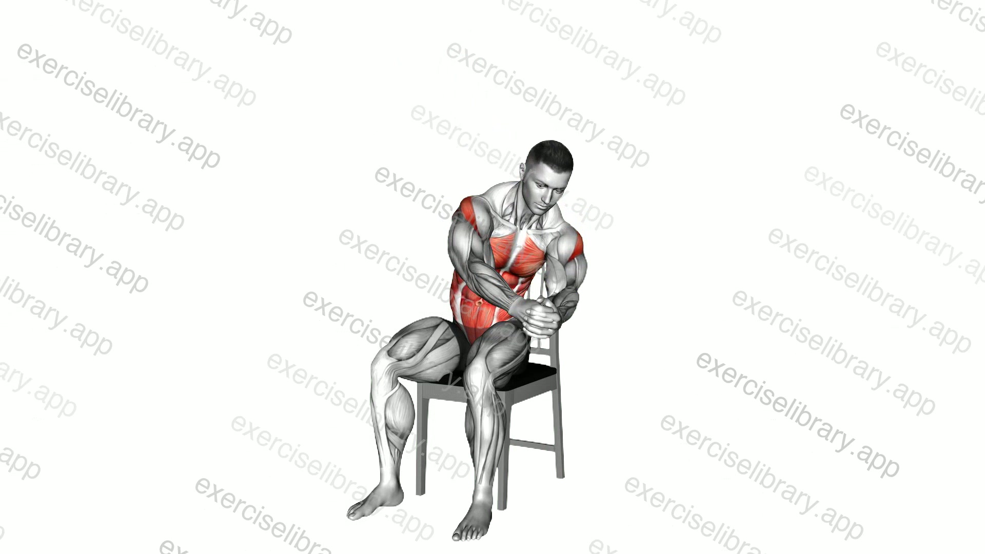 Sitting Woodchopper on a Chair demonstration