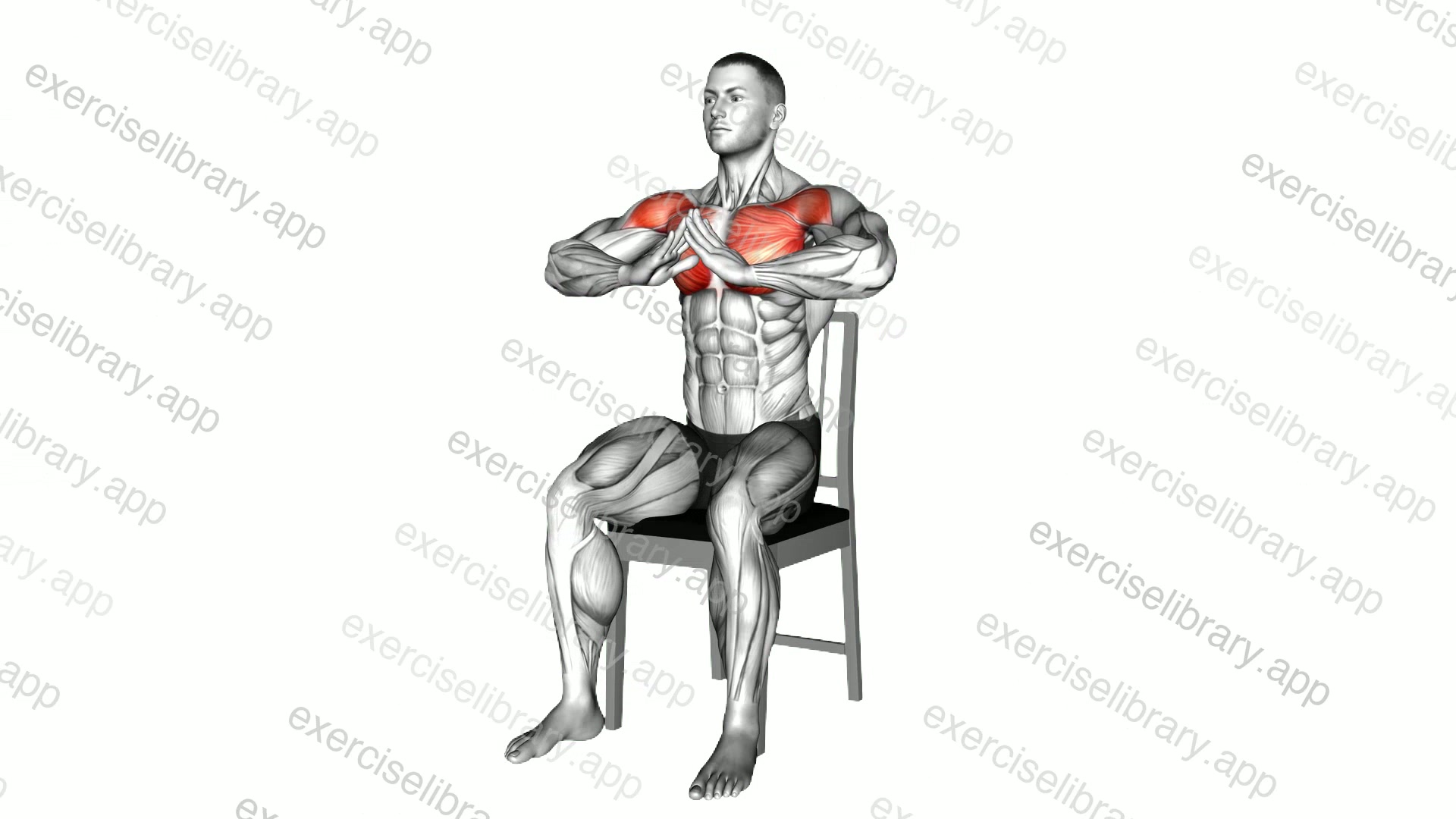 Sitting Prayer Chest Squeeze on a Chair demonstration