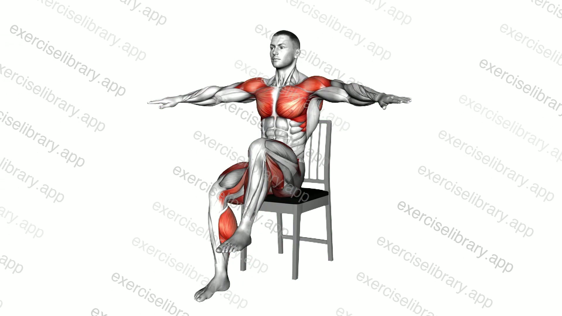 Sitting Swimming Knee Raise on a Chair demonstration