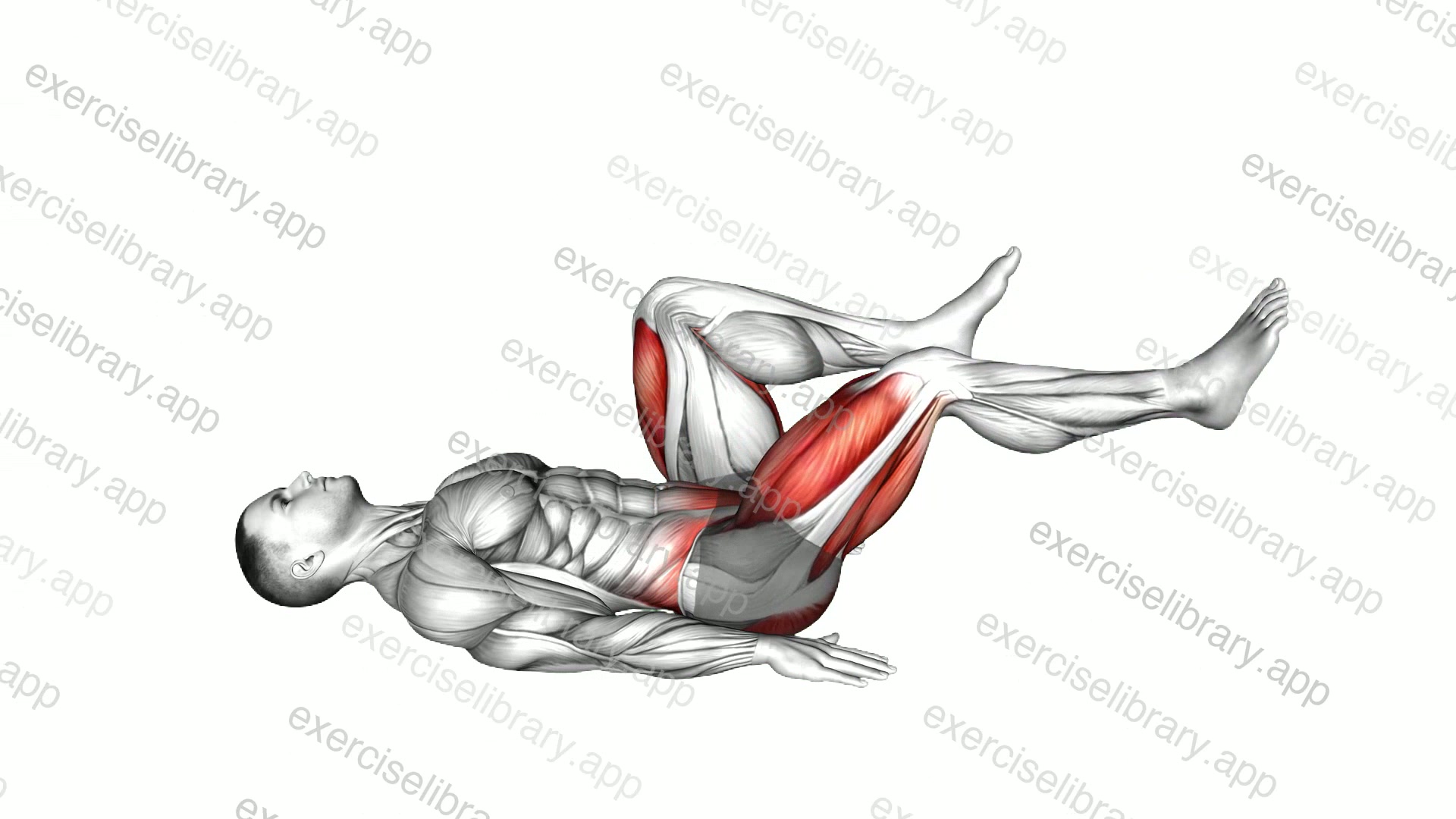 Lying 90 degrees Alternate Leg Extension demonstration