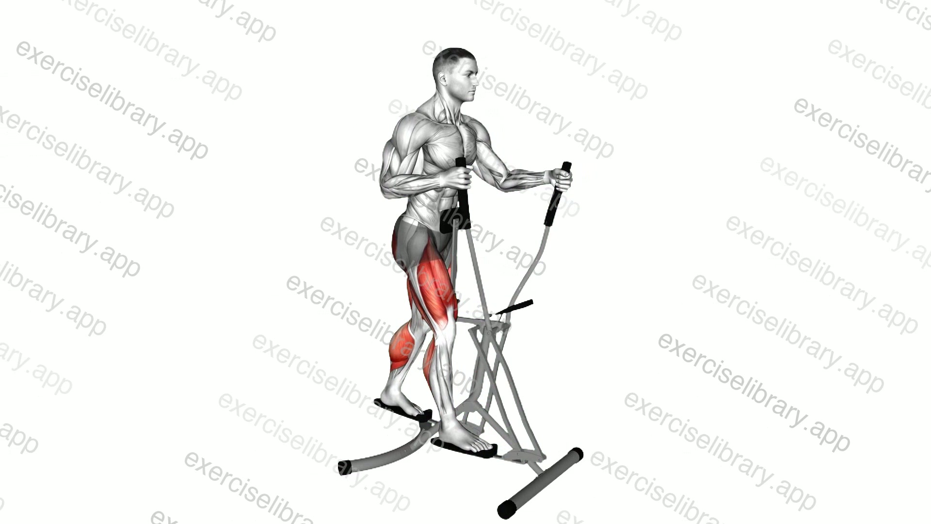 Lever Air Walk demonstration