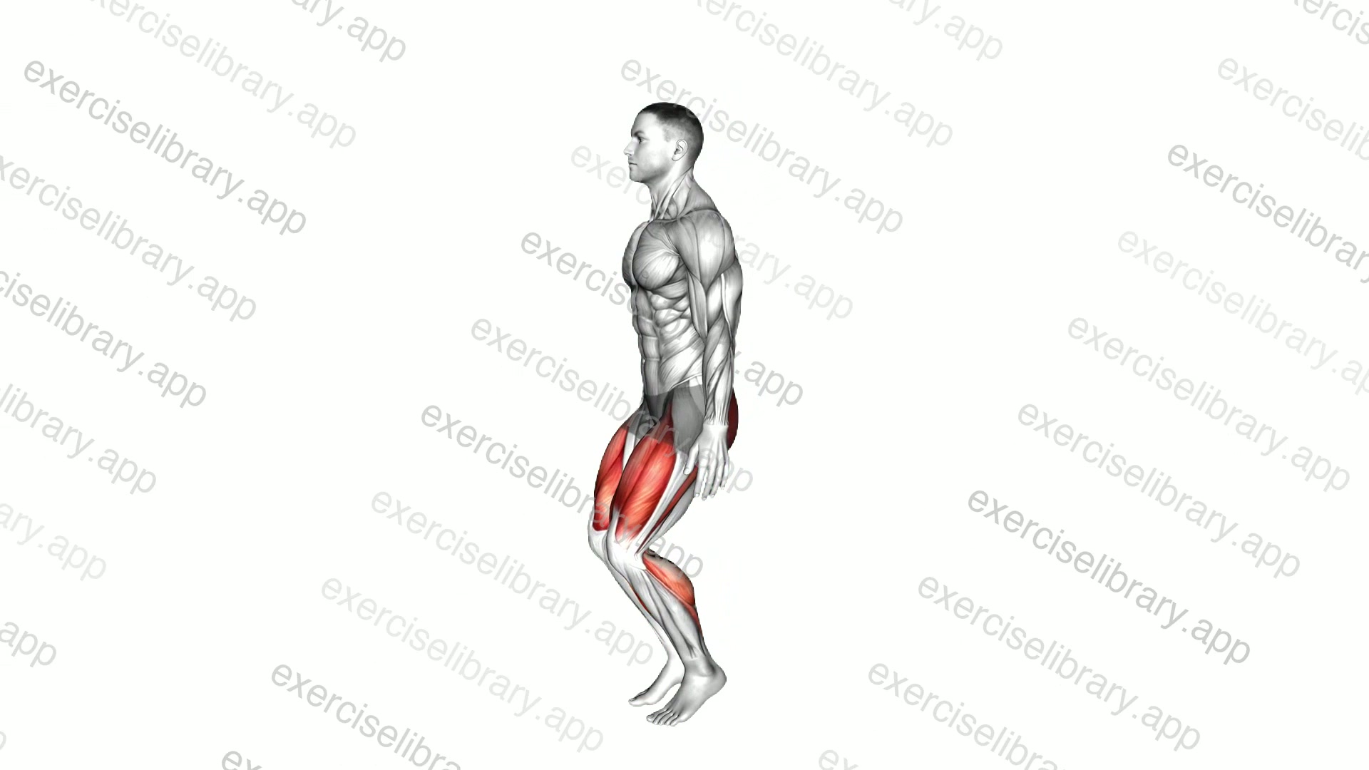 Deep Knee Bend demonstration