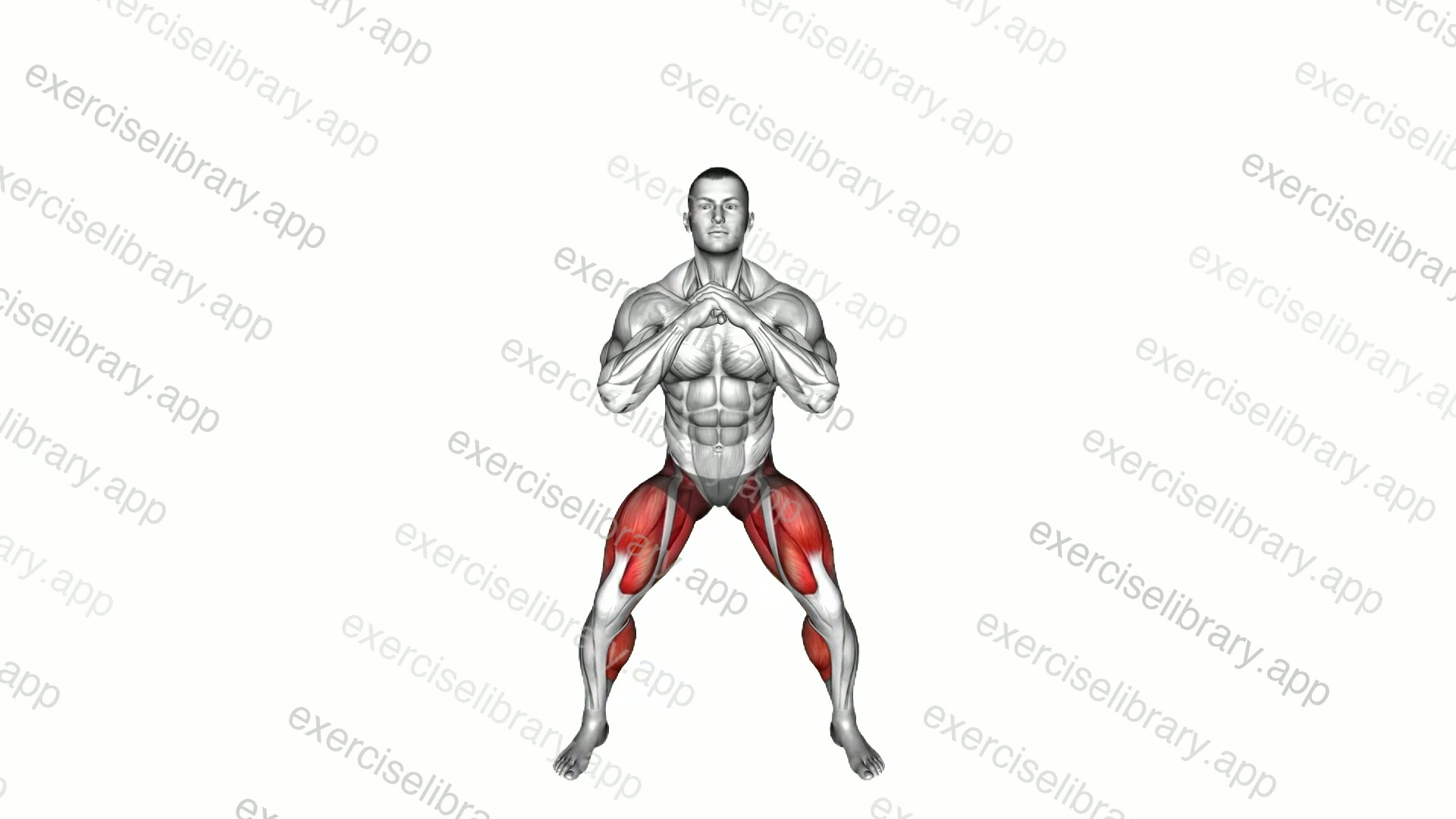 Squat Bounce demonstration