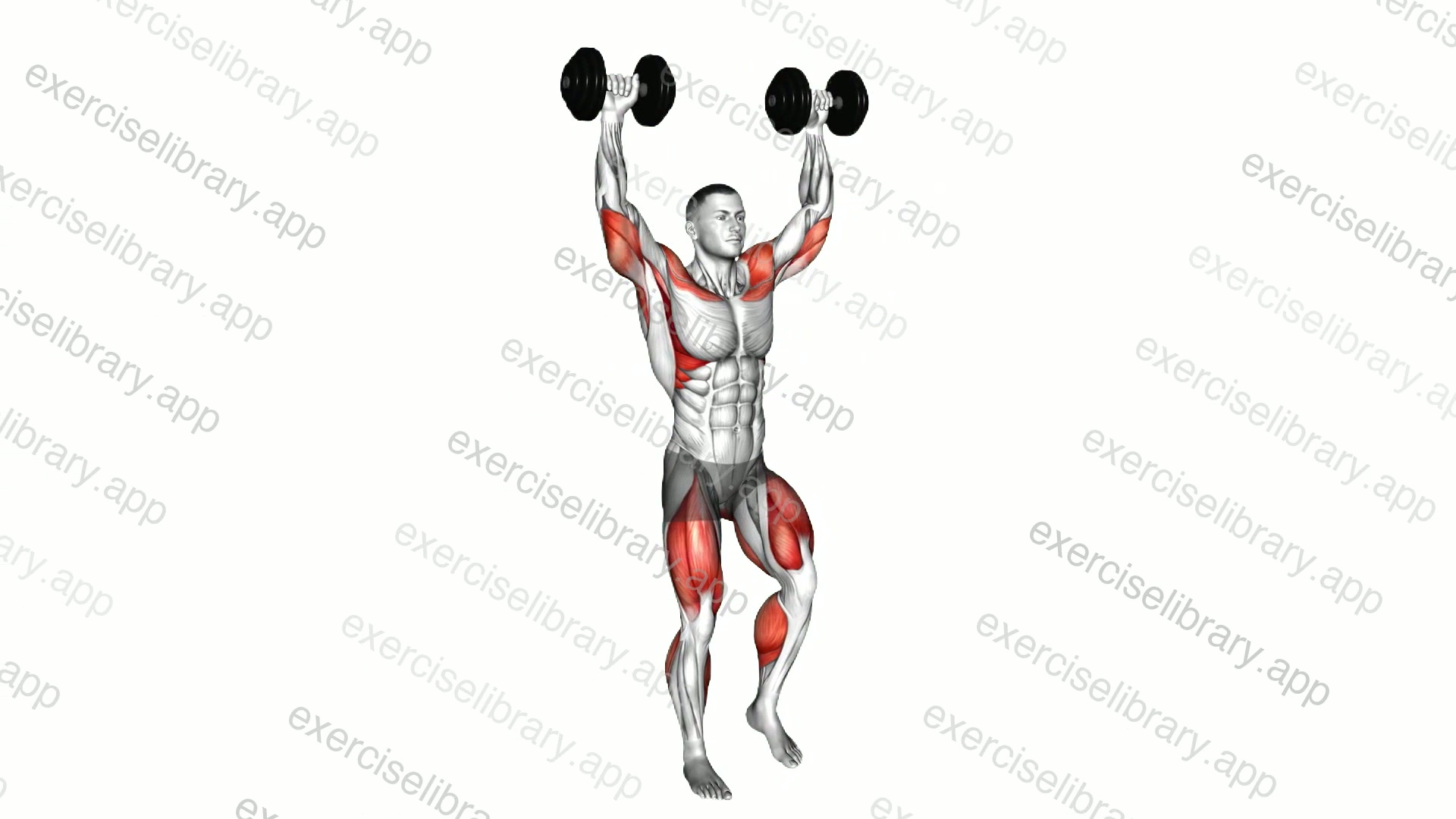 Dumbbell March on Spot Overhead Press demonstration
