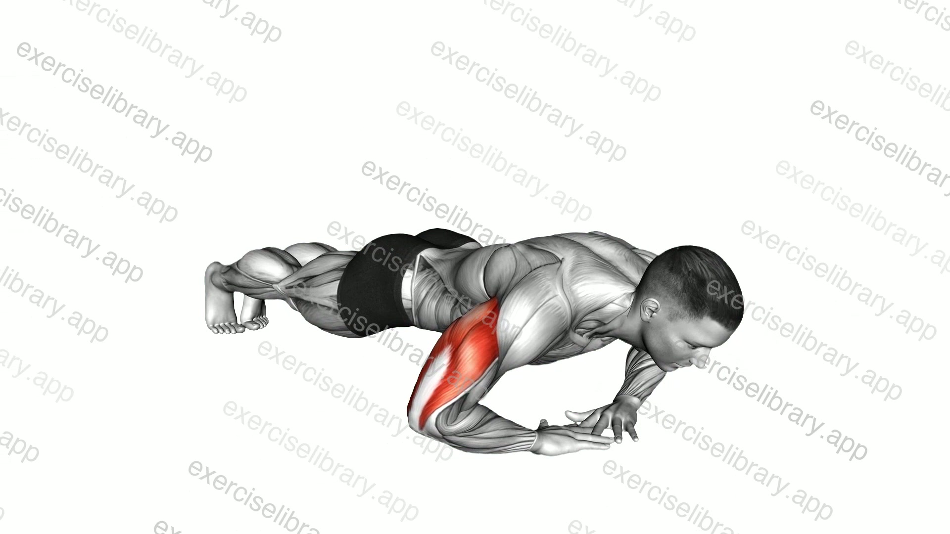 Cross Arms Triceps Extension demonstration