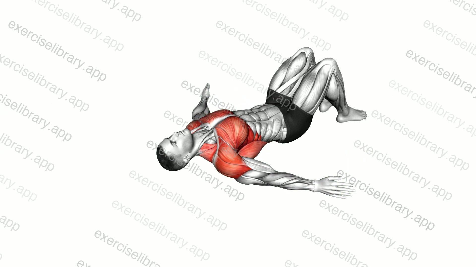 Around the World Lying on Floor demonstration