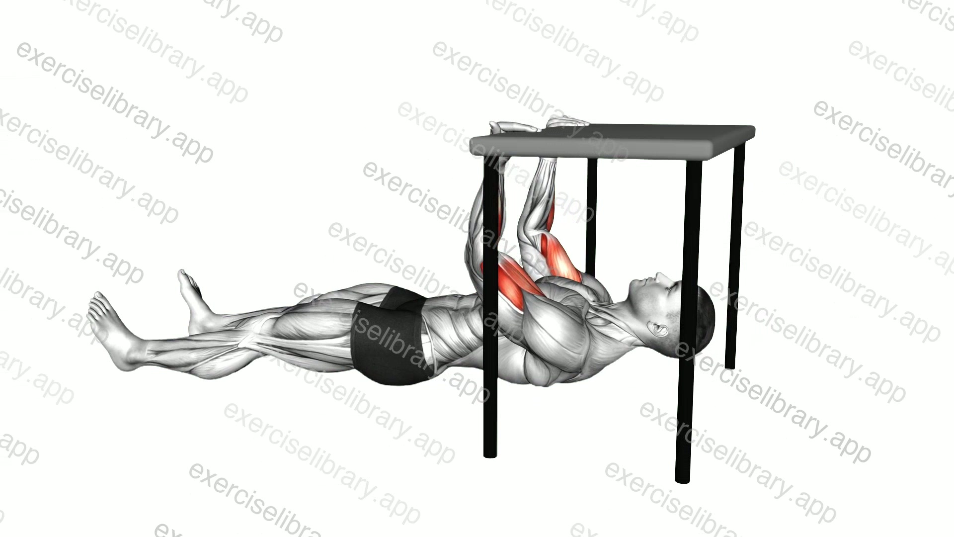 Biceps Curl under Table demonstration