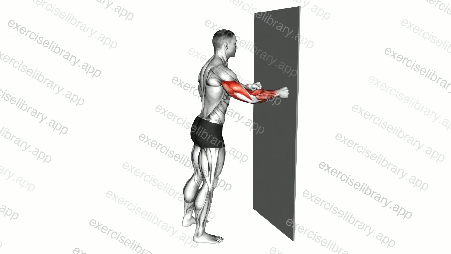 Knuckle Push-up against Wall demonstration