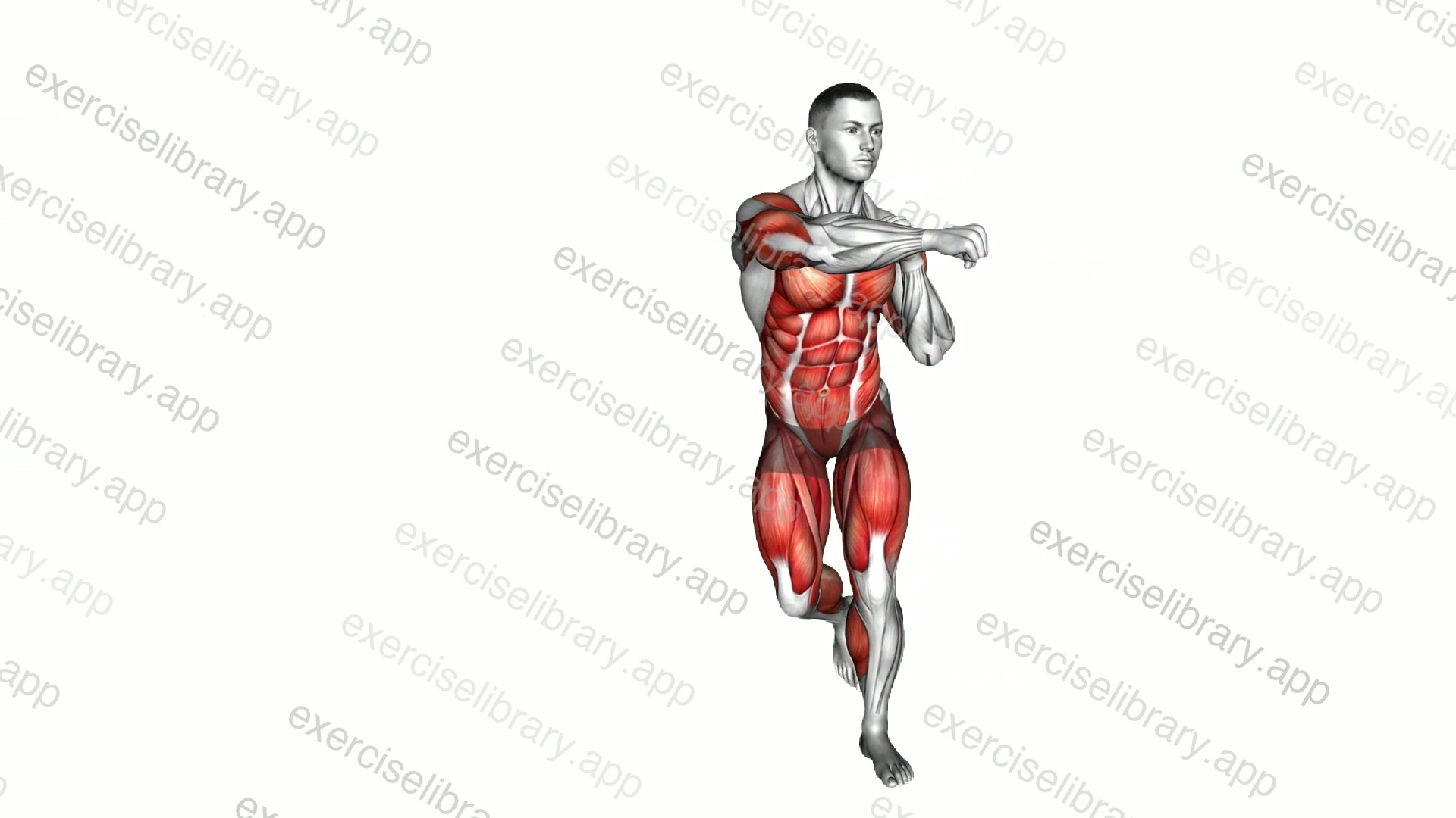 Curtsey Cross Punch demonstration