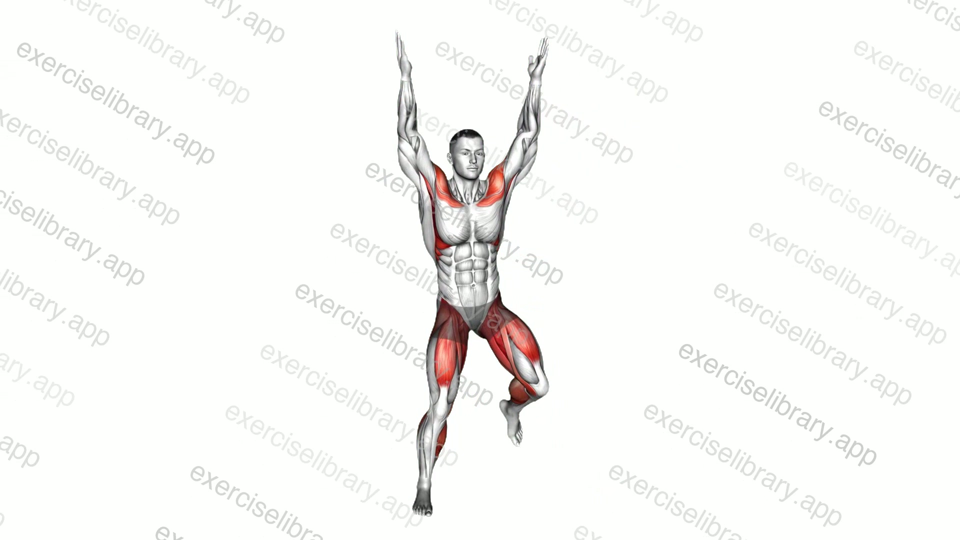 Alternating Hamstring Curl Overhead Clap demonstration