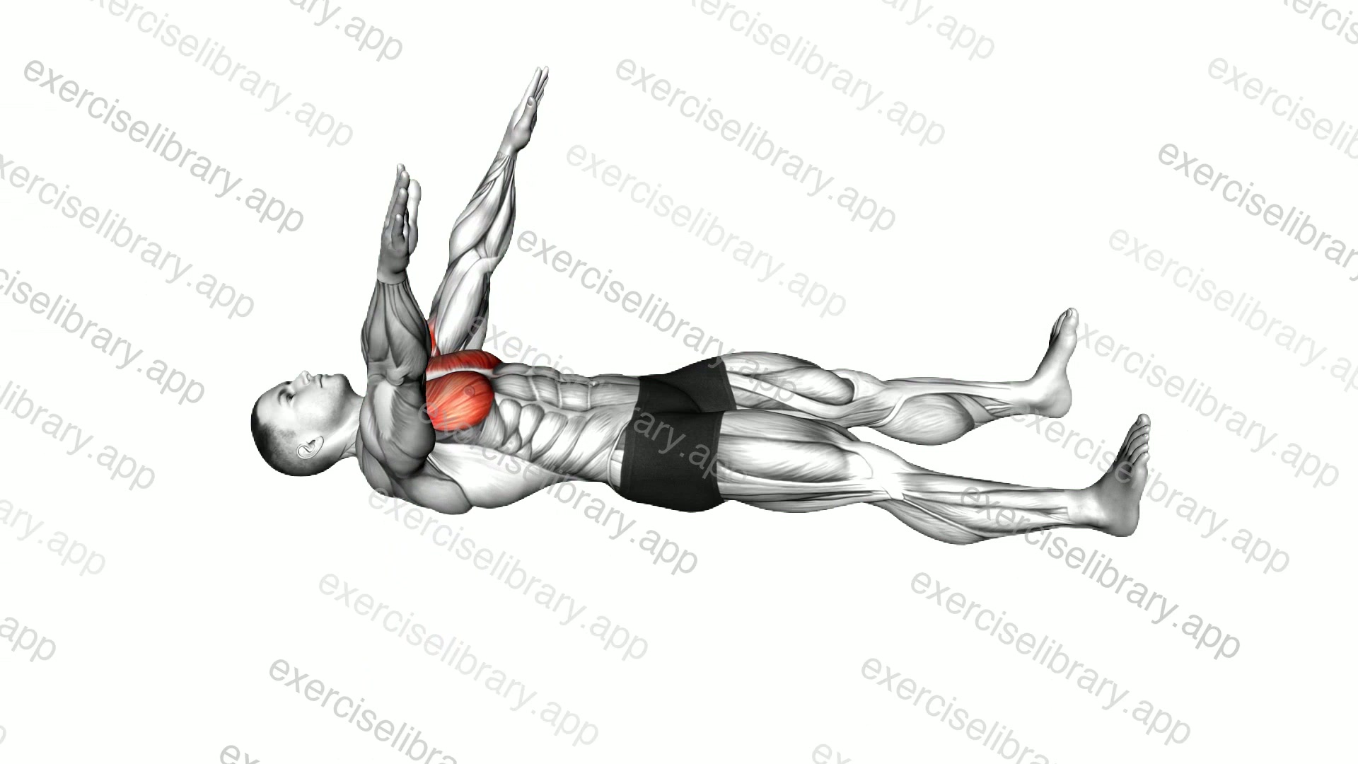 Lying Arm Crossover demonstration