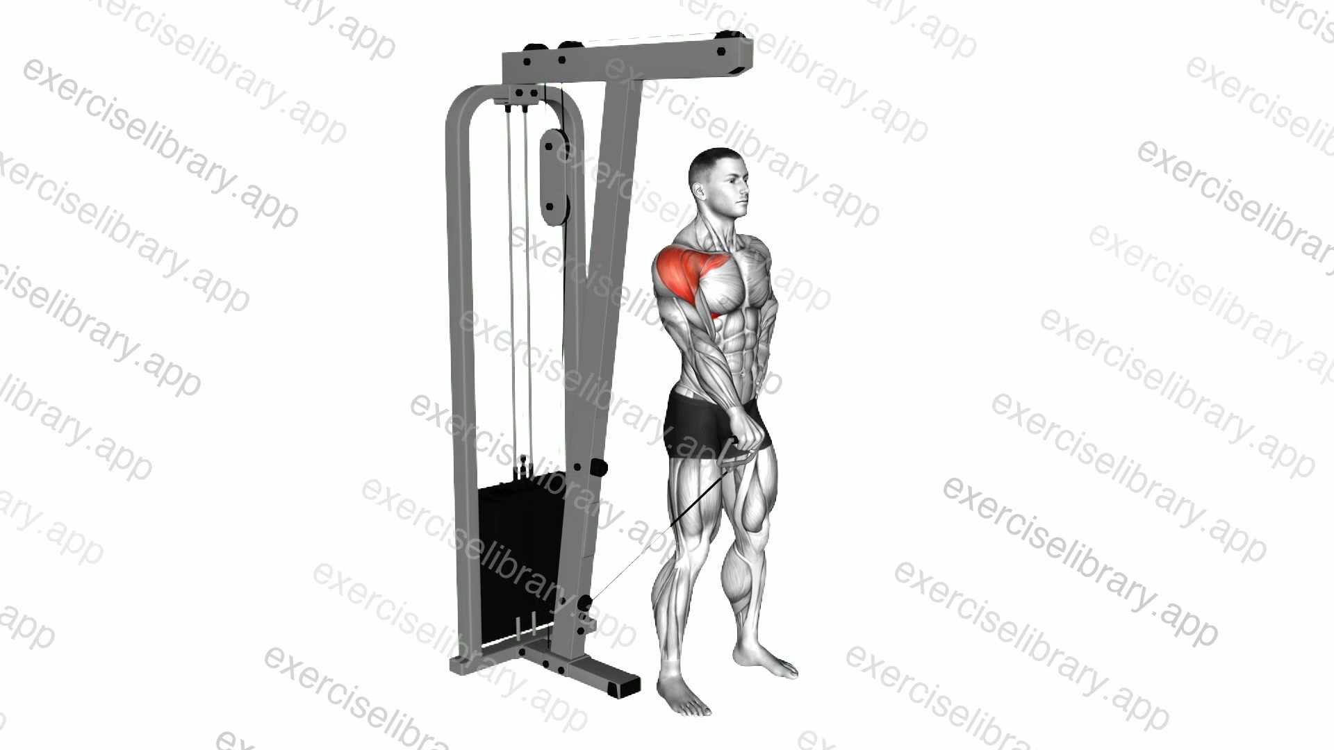 Cable One Arm Front Raise demonstration