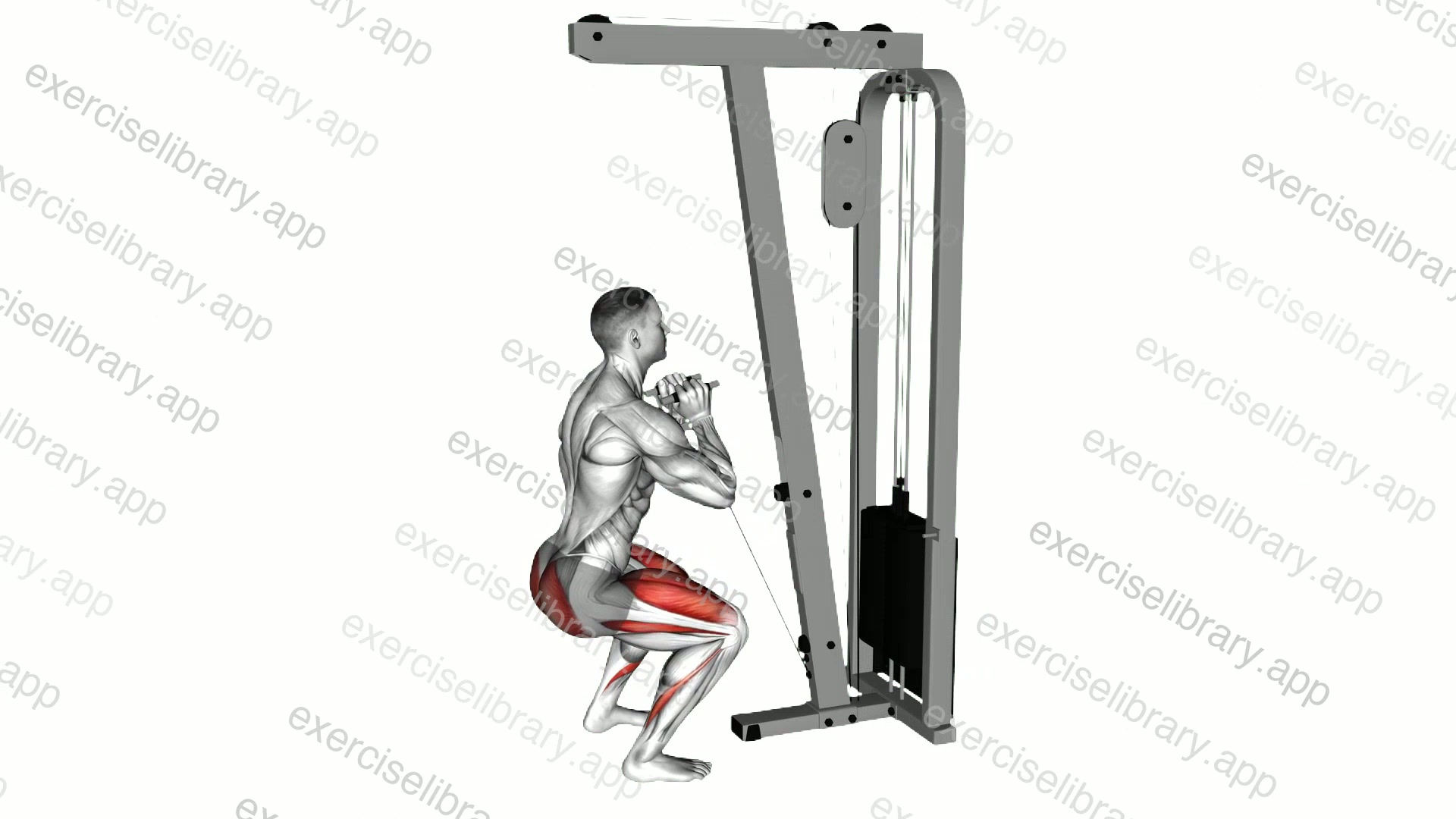 Cable Goblet Squat demonstration