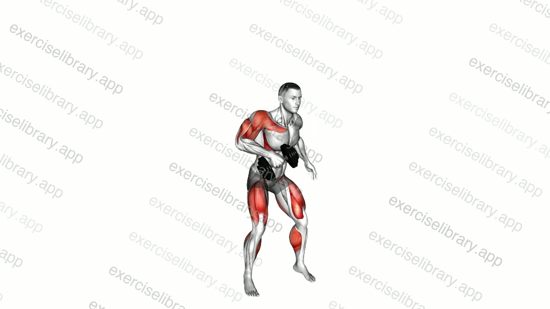 Dumbbell Single Arm Clean and Press demonstration