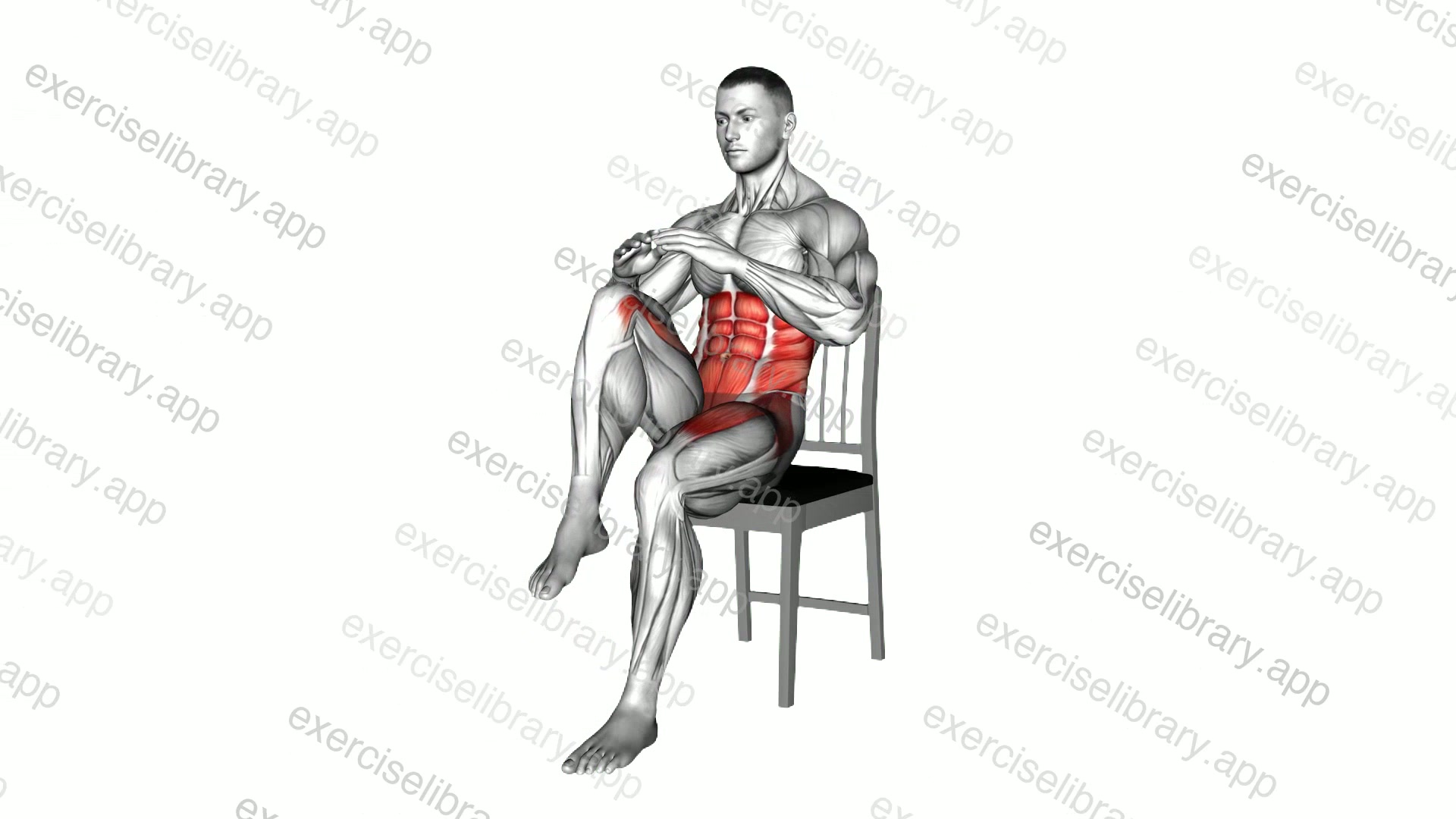 Seated Alternate Knee Raises on a Chair demonstration