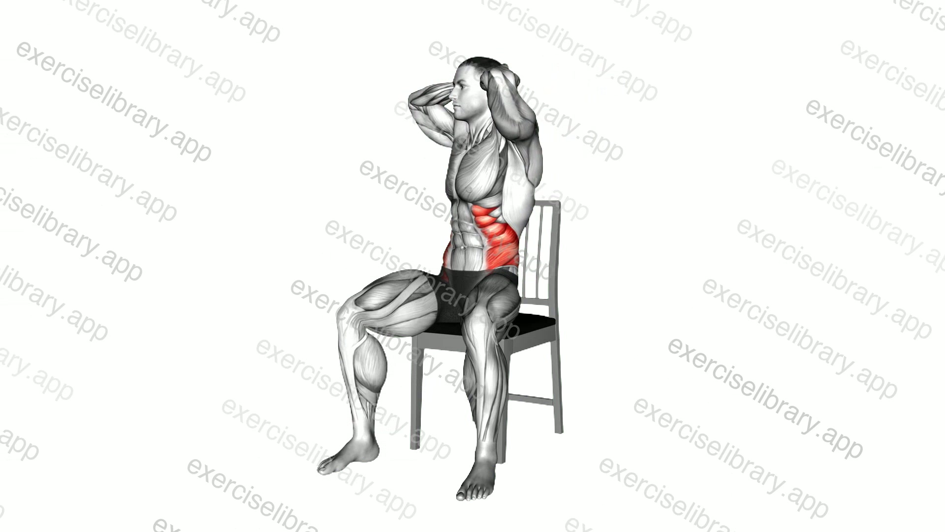Seated Upright Twists on a Chair demonstration