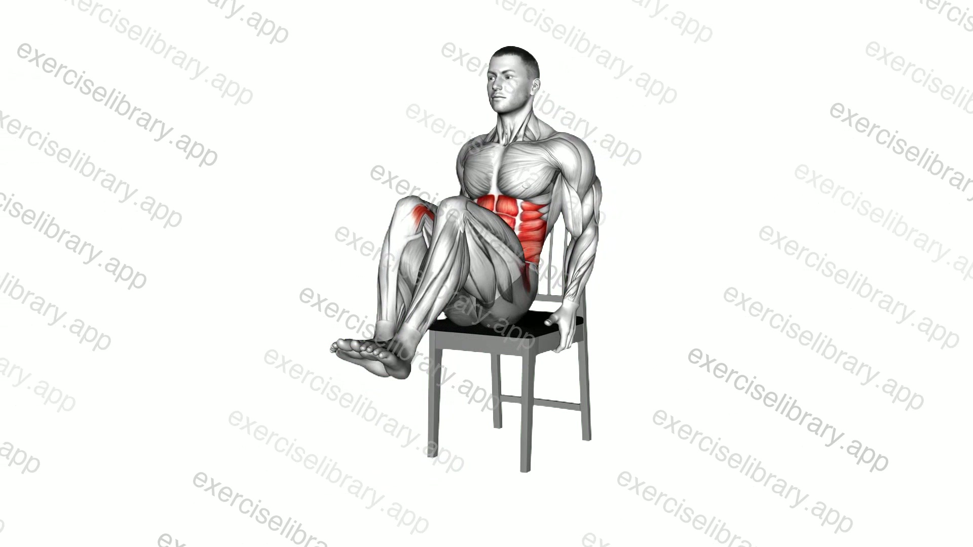 Seated Knee Raise Leg Raise on a Chair demonstration