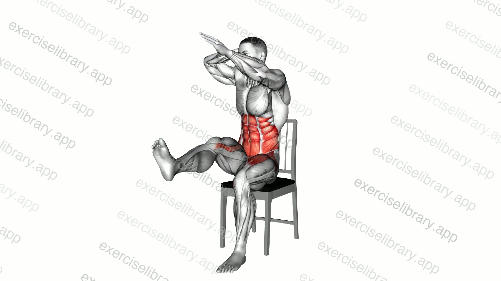 Seated Alternate Foot Taps on a Chair demonstration
