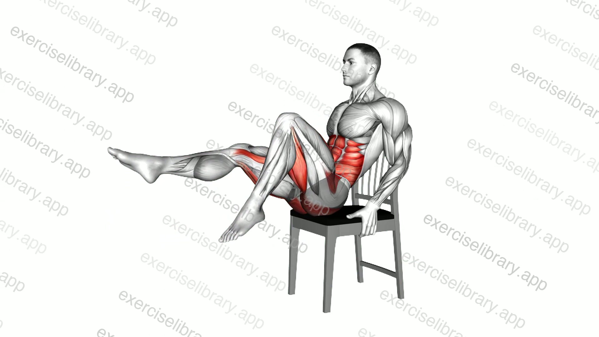 Seated Lean Back Cycling on a Chair demonstration